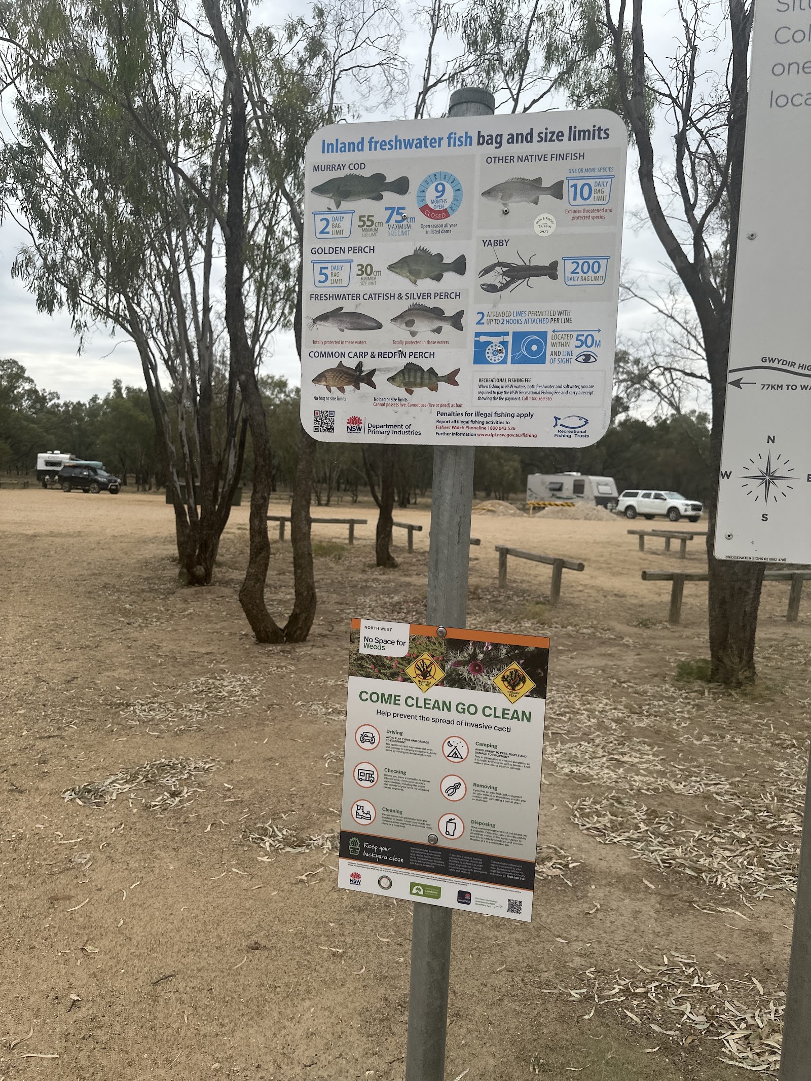 Collarenabri Showground 3