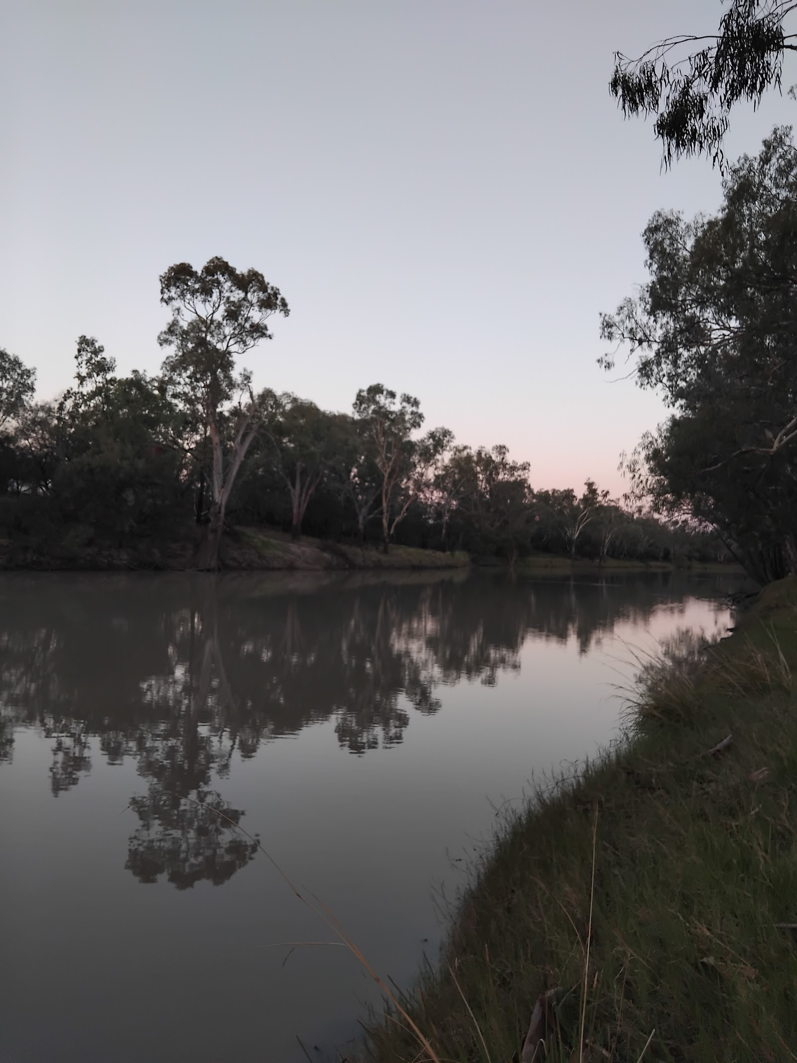 Collarenabri Showground 7