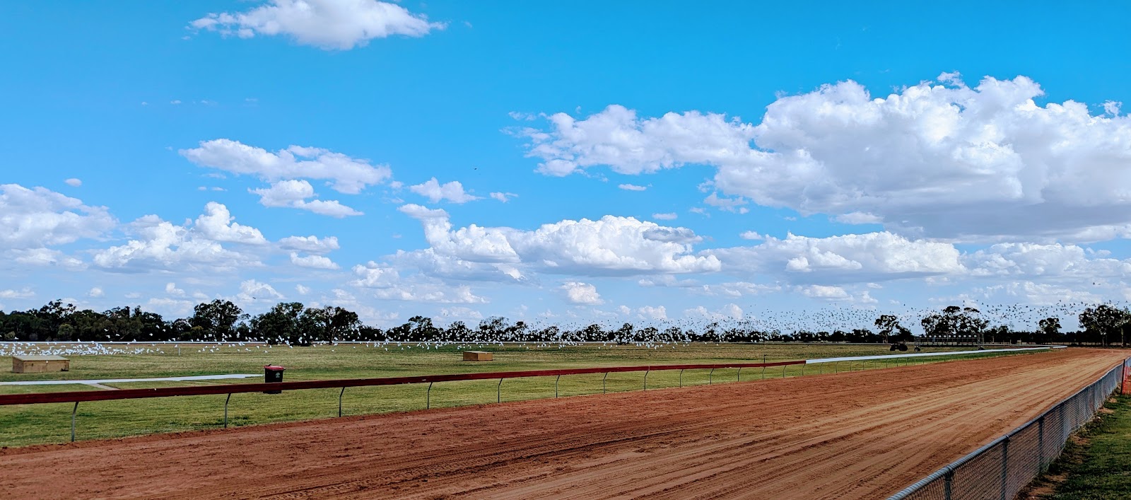 Condobolin Racecourse 3