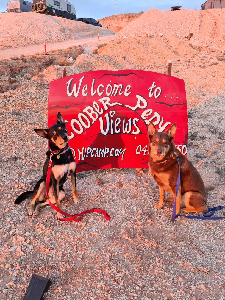 Coober Pedy Views - Outback Camping Experience 7