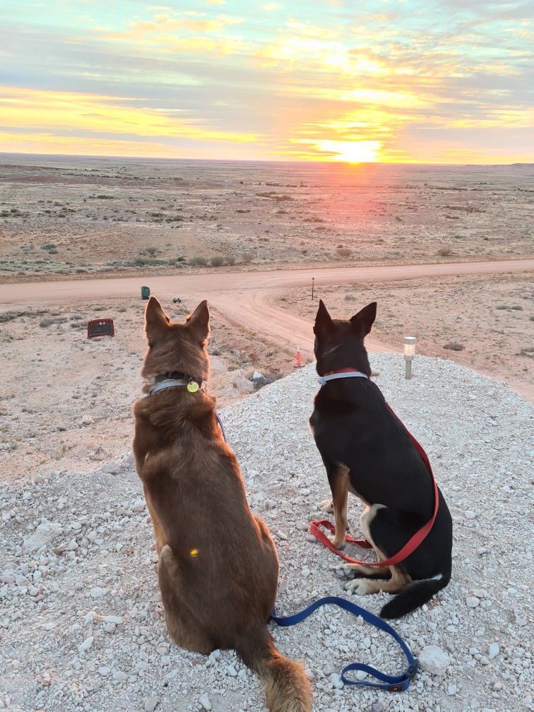 Coober Pedy Views - Outback Camping Experience 8