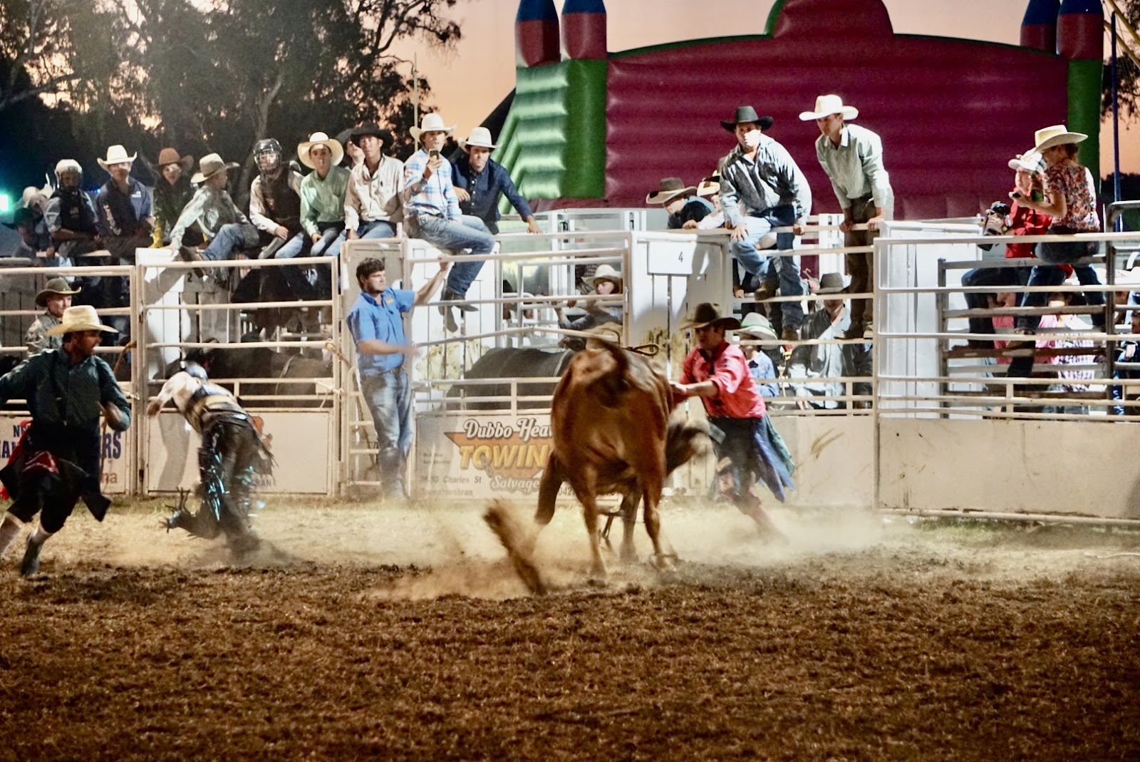 Coonabarabran Showground 2