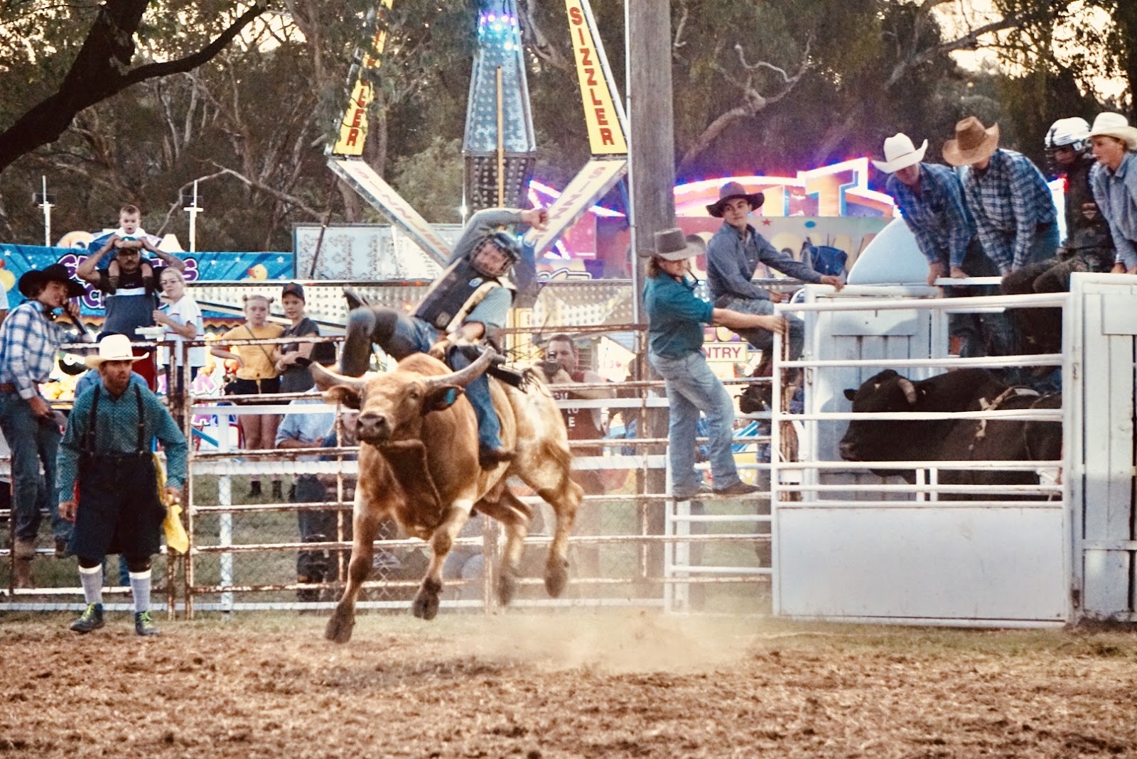 Coonabarabran Showground 3