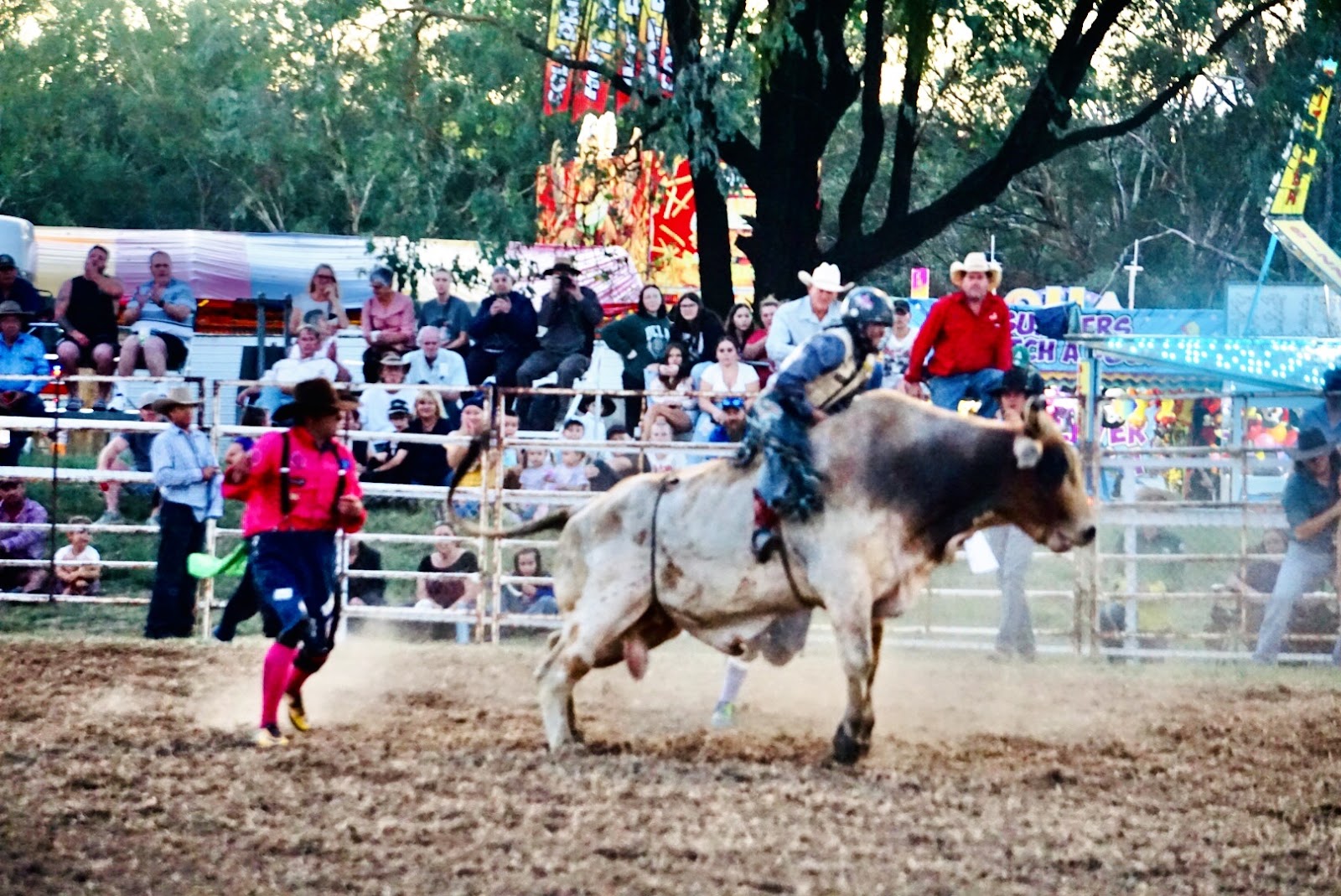 Coonabarabran Showground 4