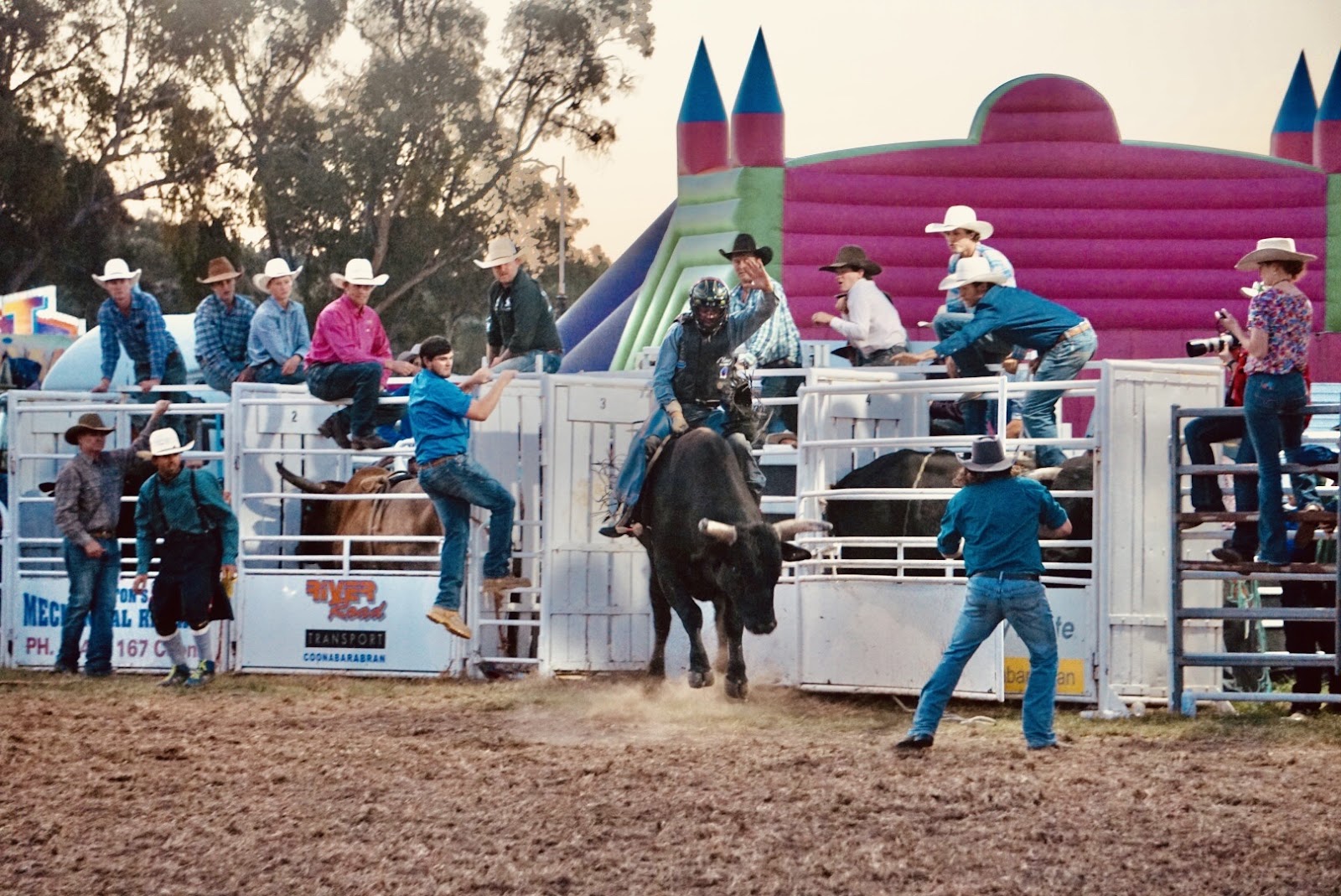 Coonabarabran Showground 8
