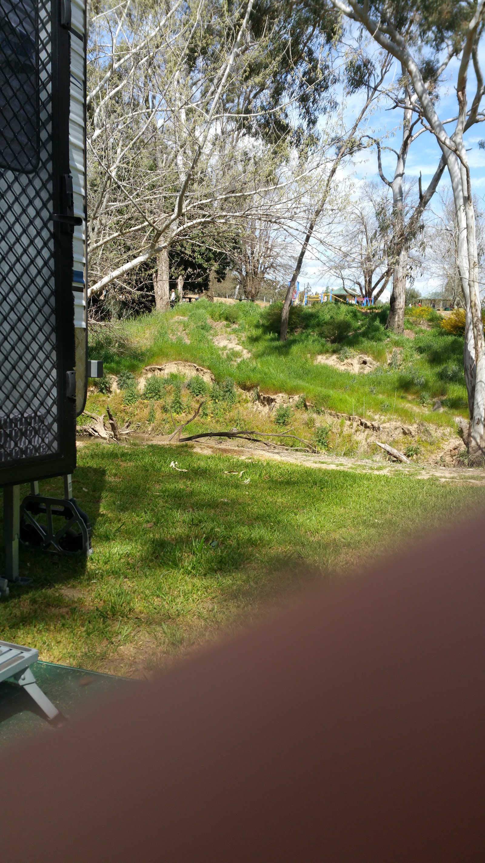 Culcairn Showground 9