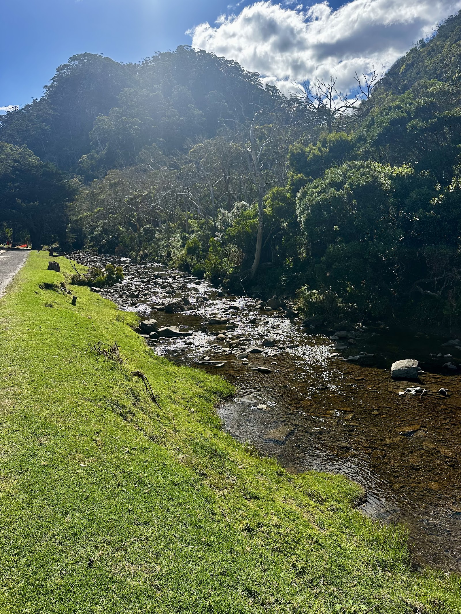Cumberland River Holiday Park 9