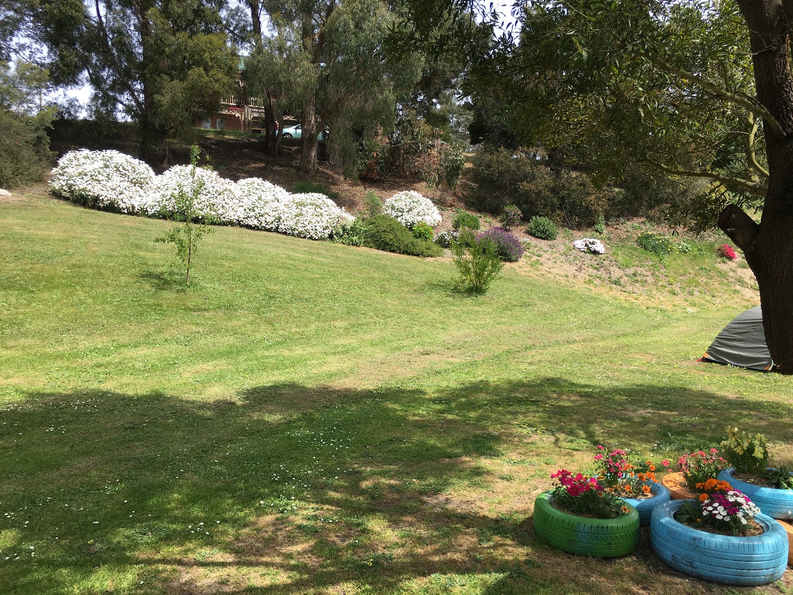 Cygnet Caravan Park 3