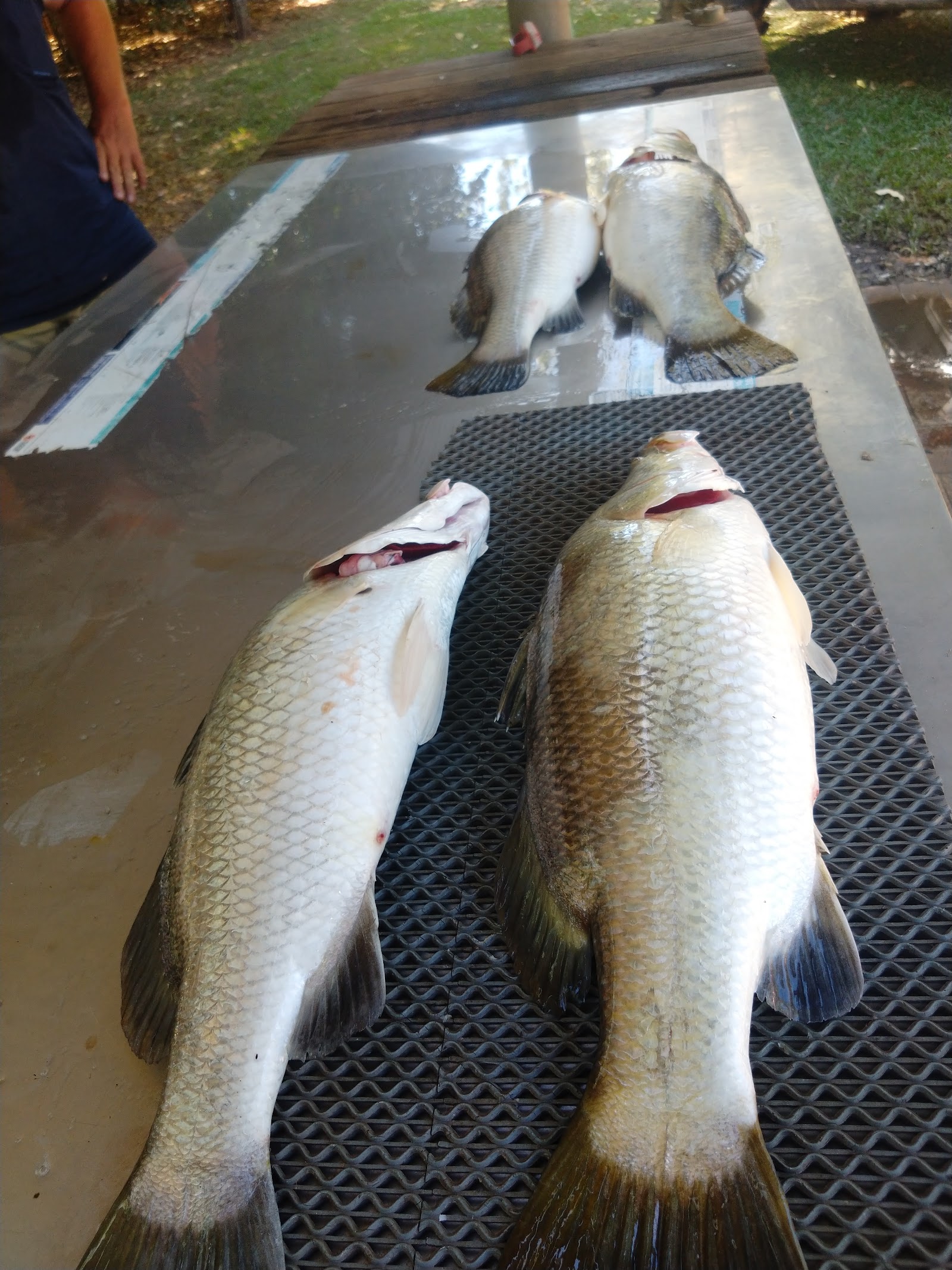 Daly River Bushcamp 7