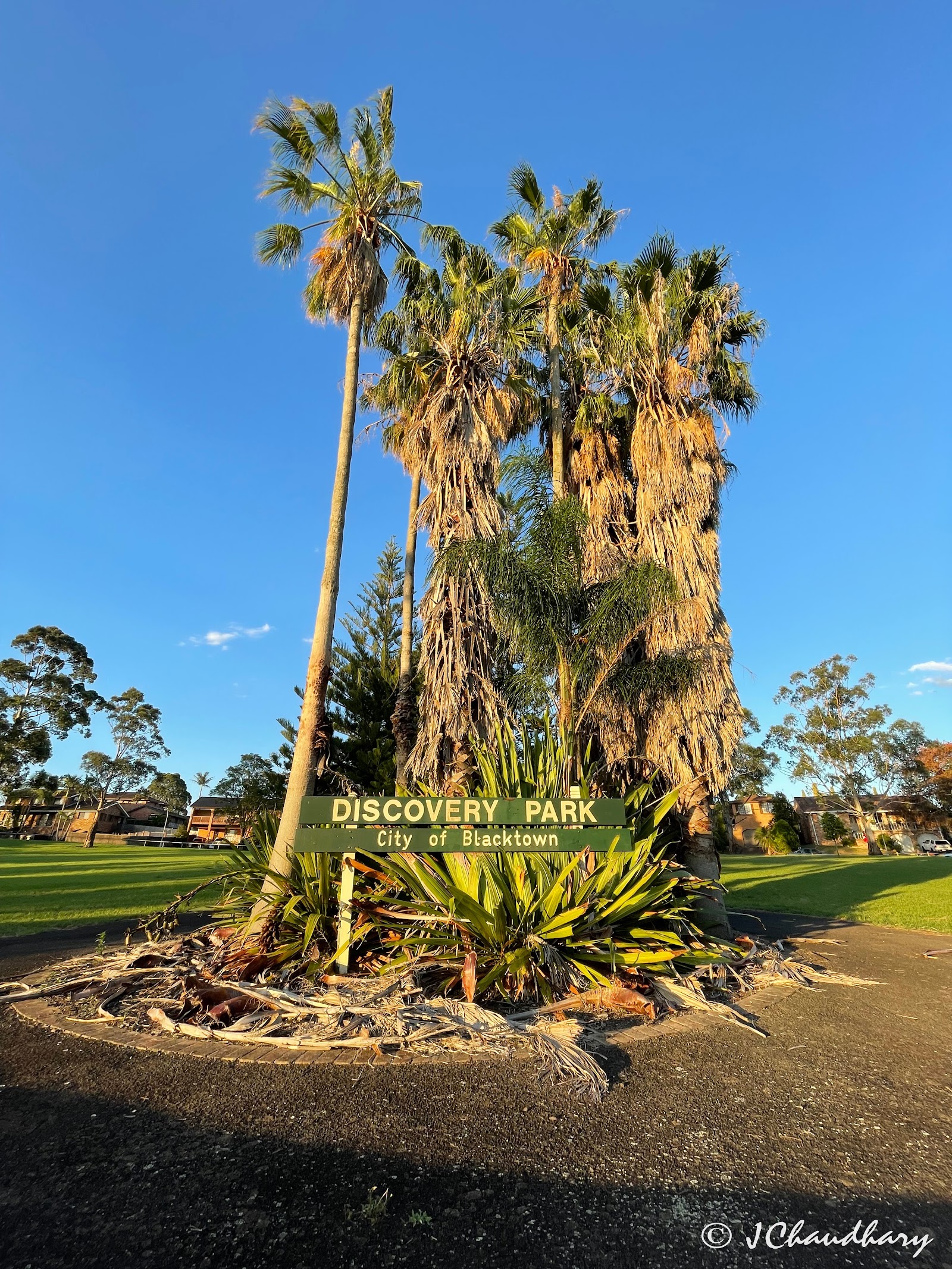 Discovery Park 2