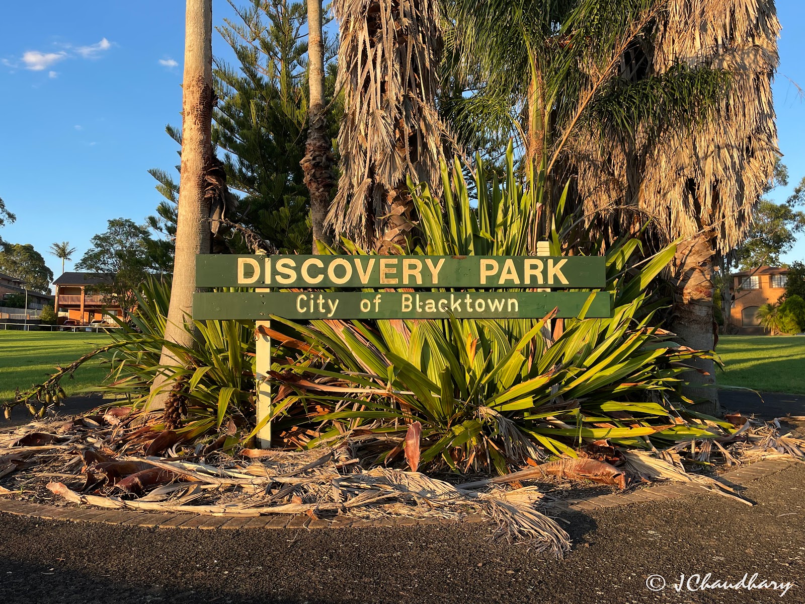 Discovery Park 8