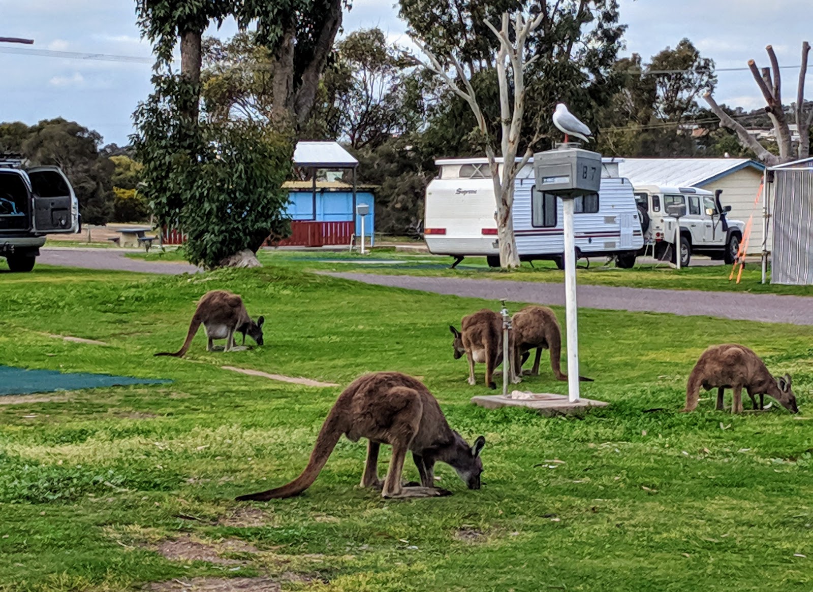 Discovery Parks - Coffin Bay 4