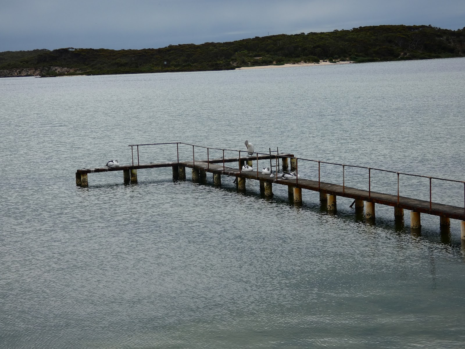 Discovery Parks - Coffin Bay 8