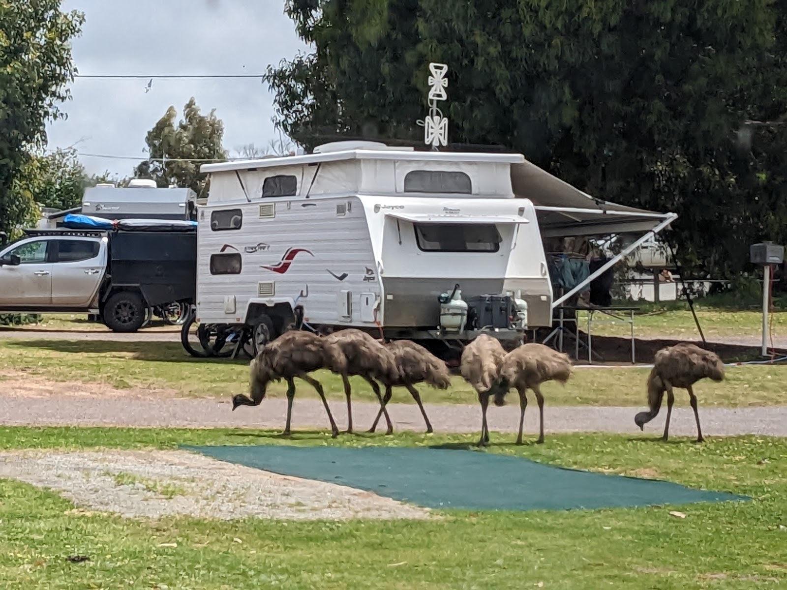 Discovery Parks - Coffin Bay 9