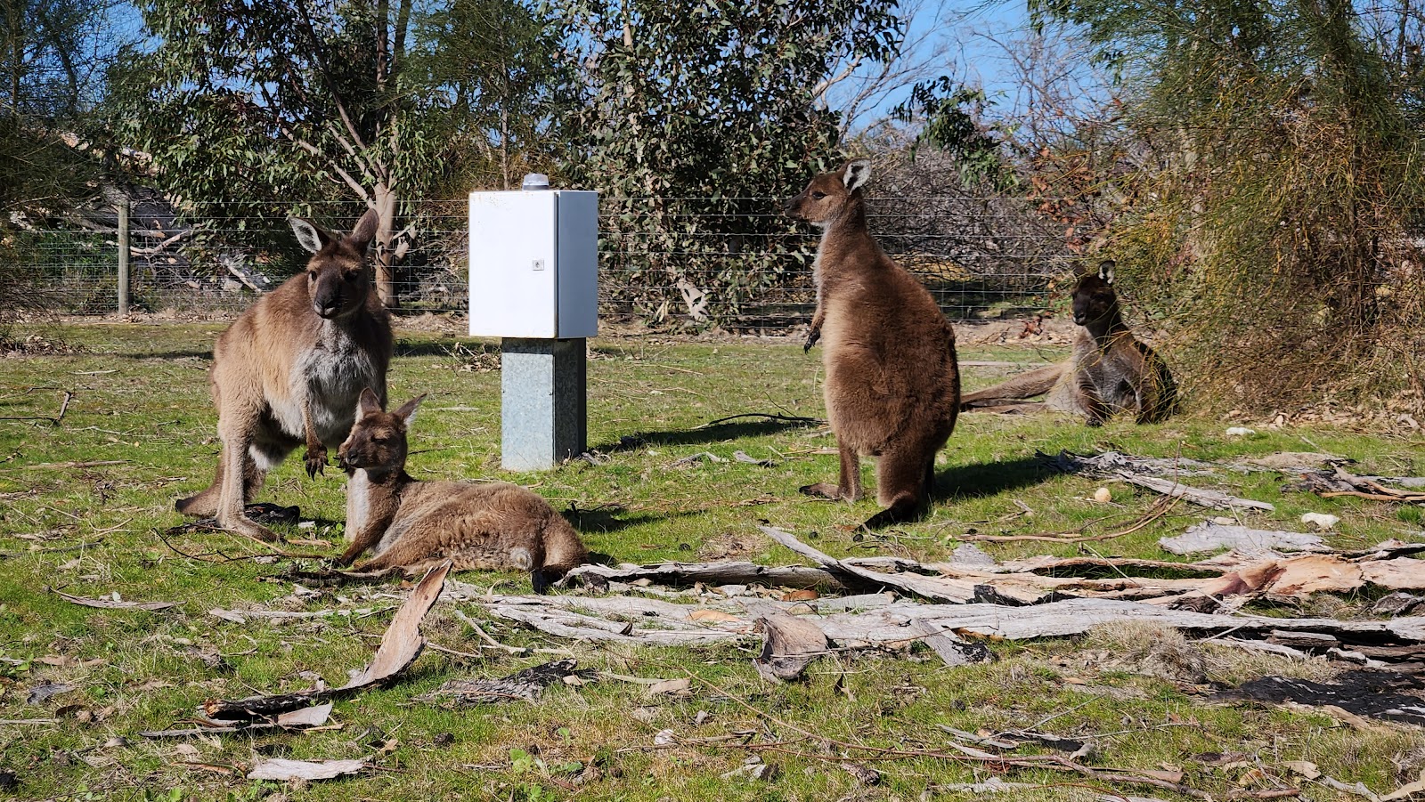 Discovery Parks - Kangaroo Island 10
