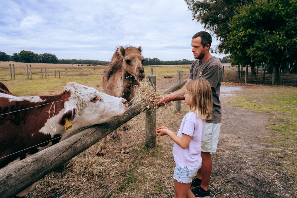 Discovery Parks - Margaret River 4