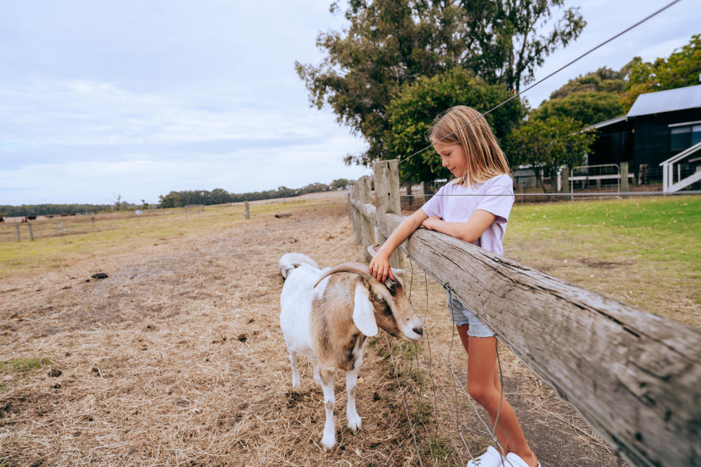 Discovery Parks - Margaret River 8
