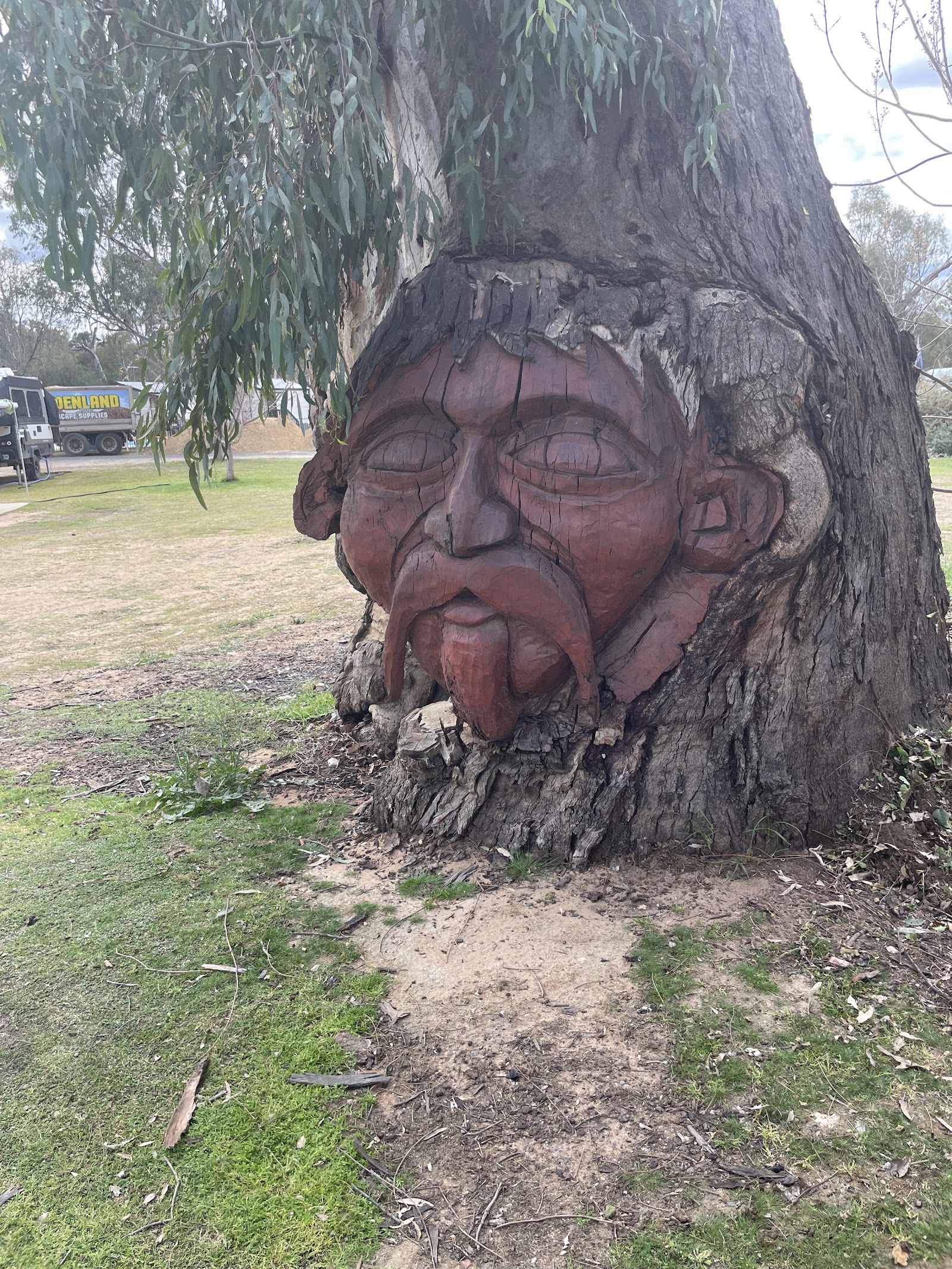 Discovery Parks - Mildura, Buronga Riverside 6