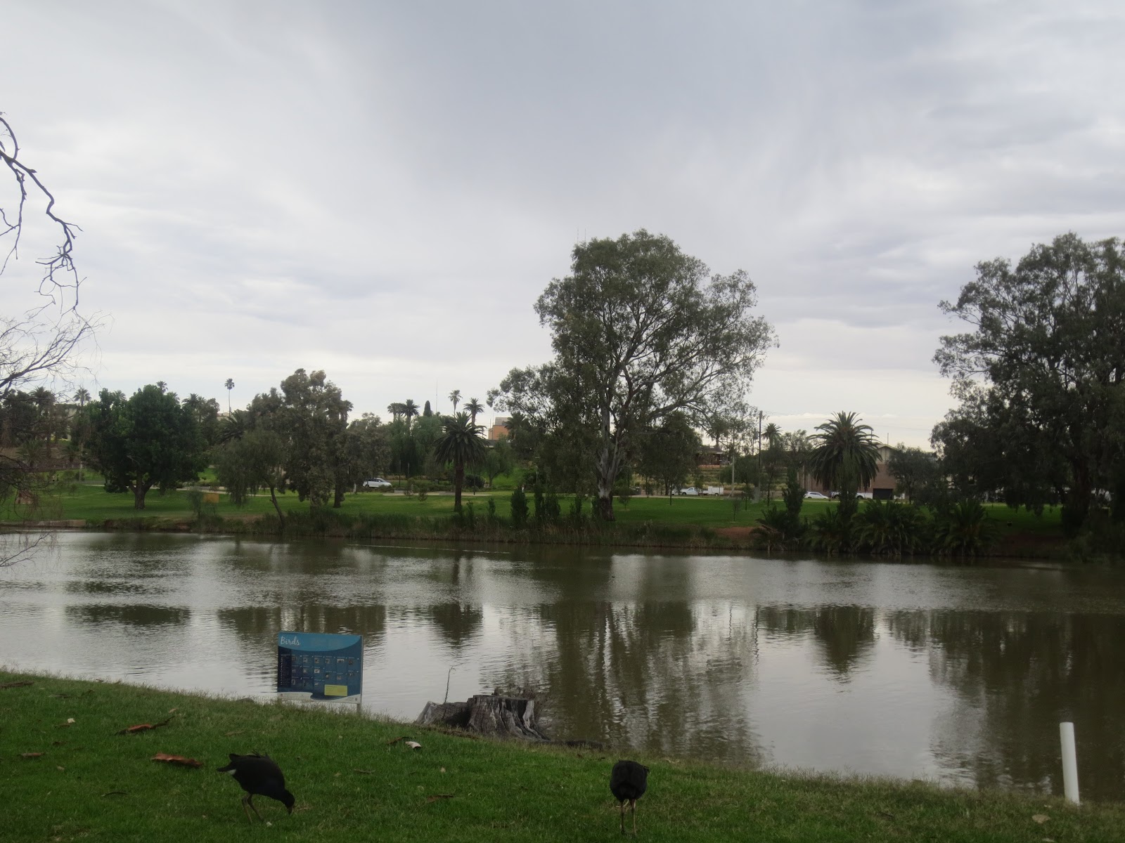 Discovery Parks - Mildura, Buronga Riverside 7