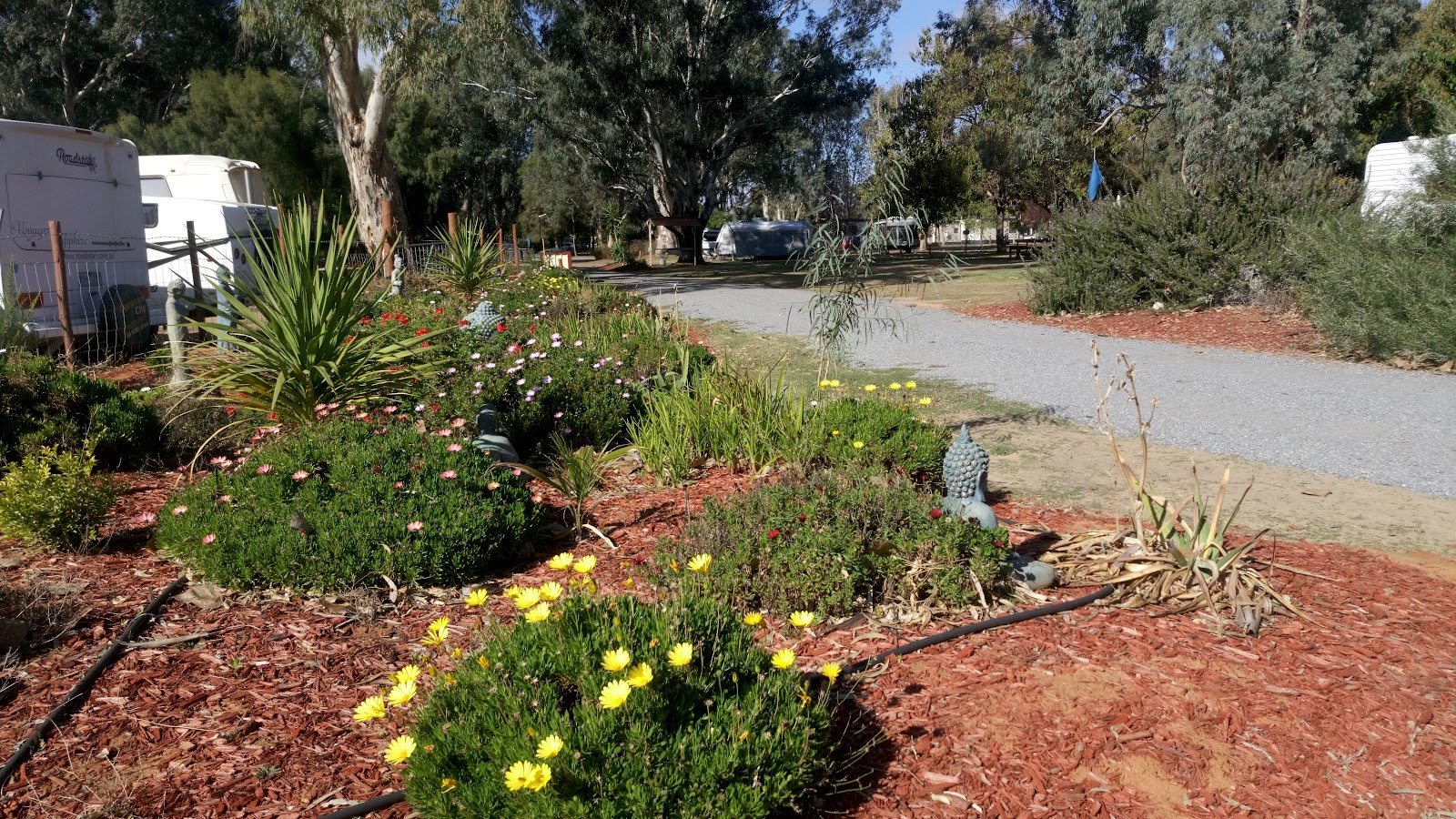 Discovery Parks - Mildura, Buronga Riverside 9