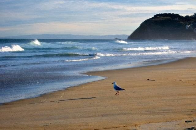 Dunedin Holiday Park & Motels 4