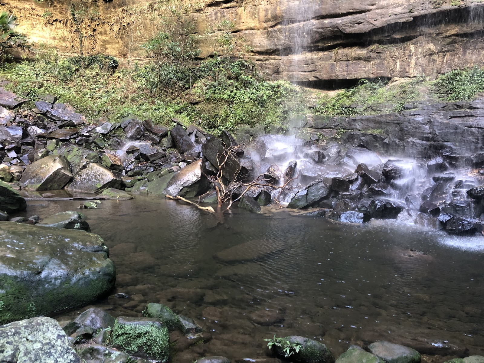 Gap Creek campground 4