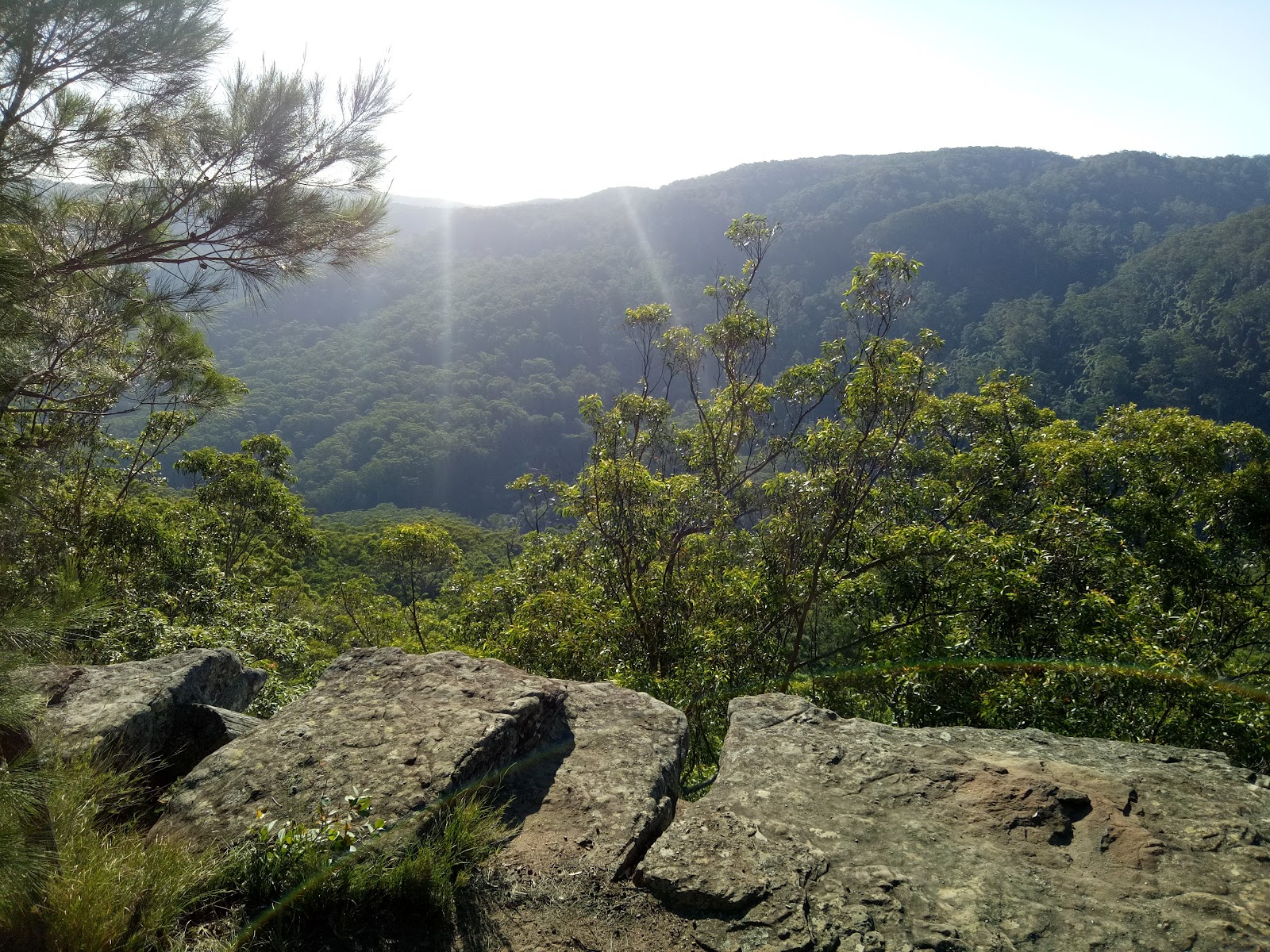 Gap Creek campground 8