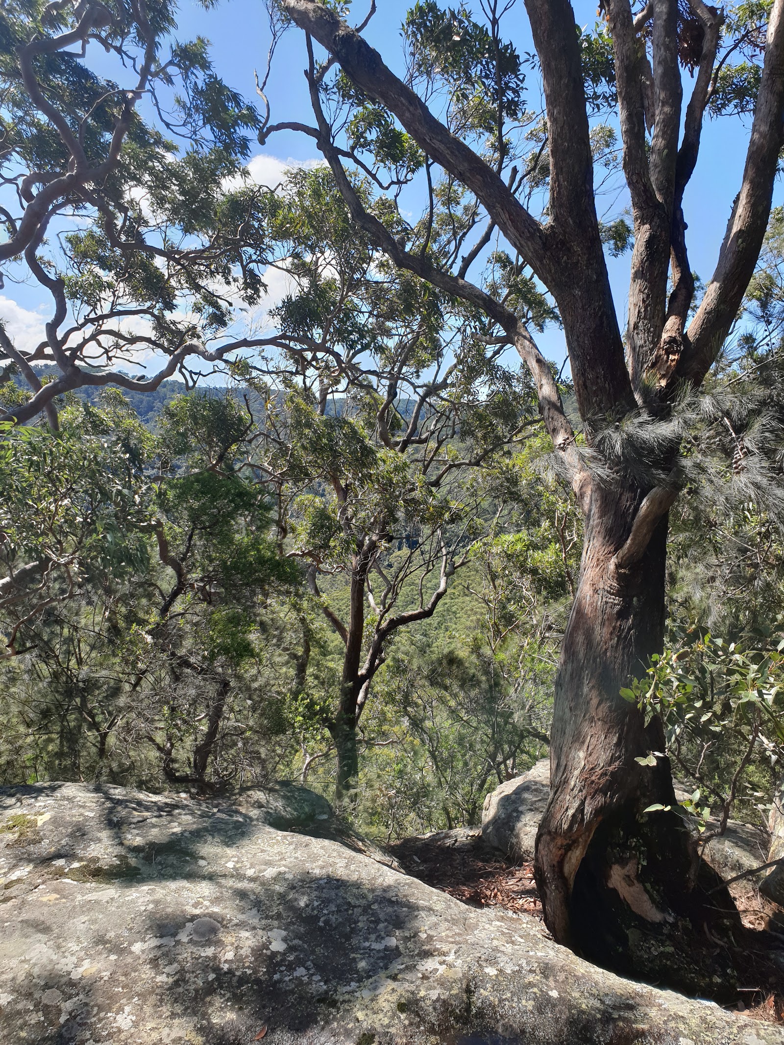 Gap Creek campground 10