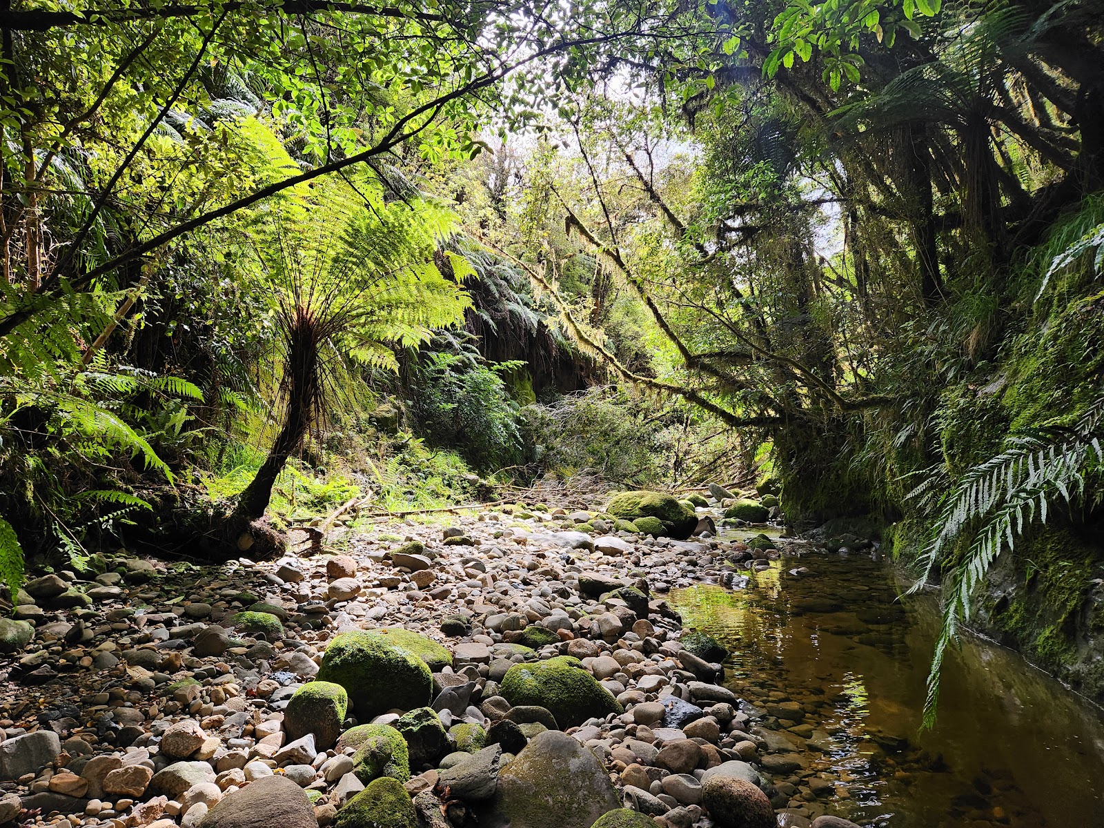 Goldsborough Camping Area 6