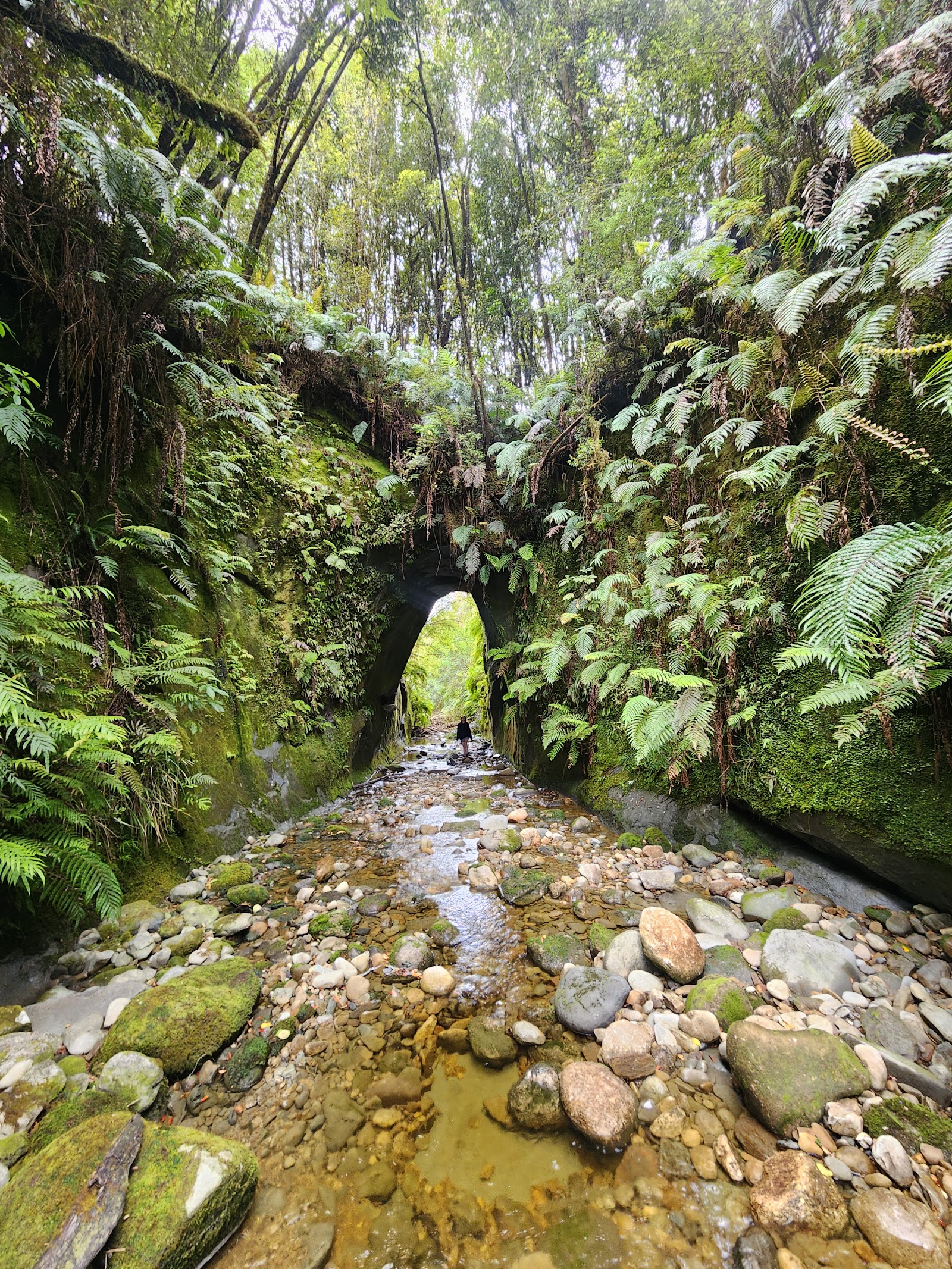 Goldsborough Camping Area 10