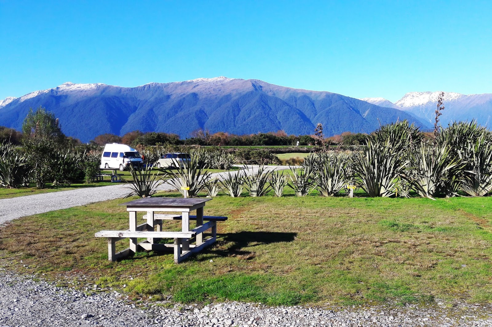 Haast River Motels & Holiday Park 5