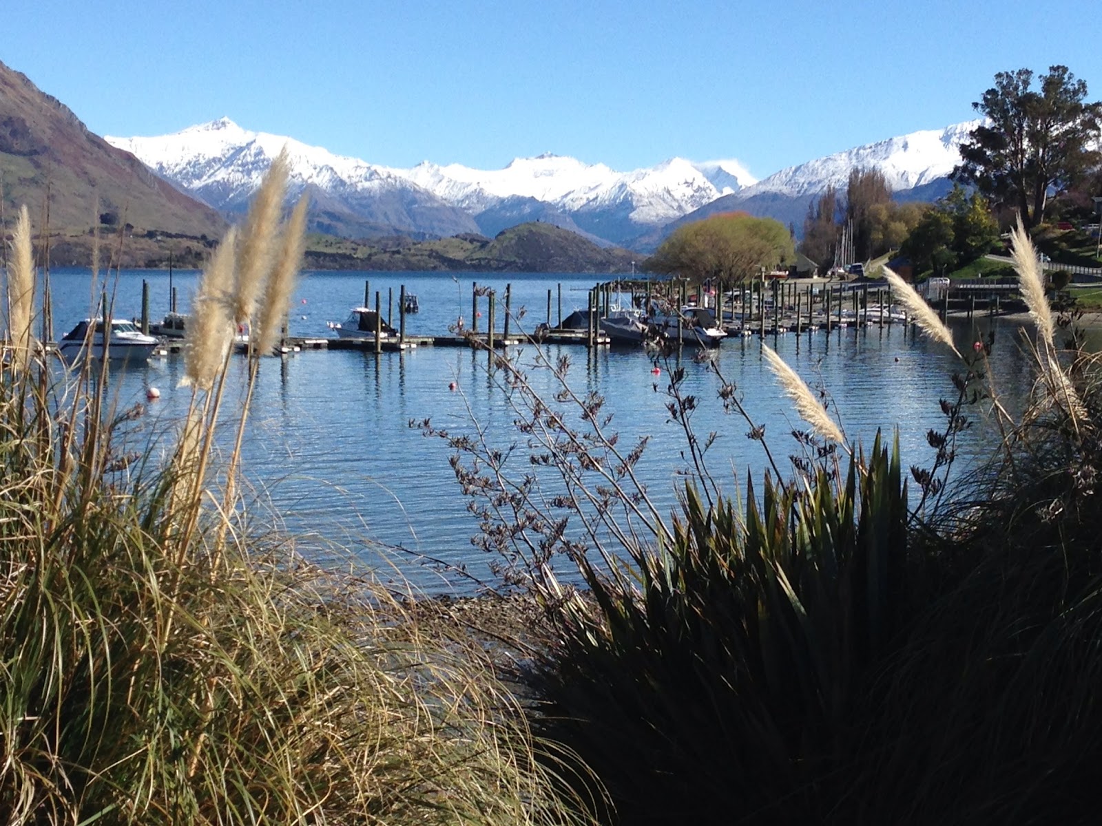 Hampshire Holiday Parks - Wanaka 2