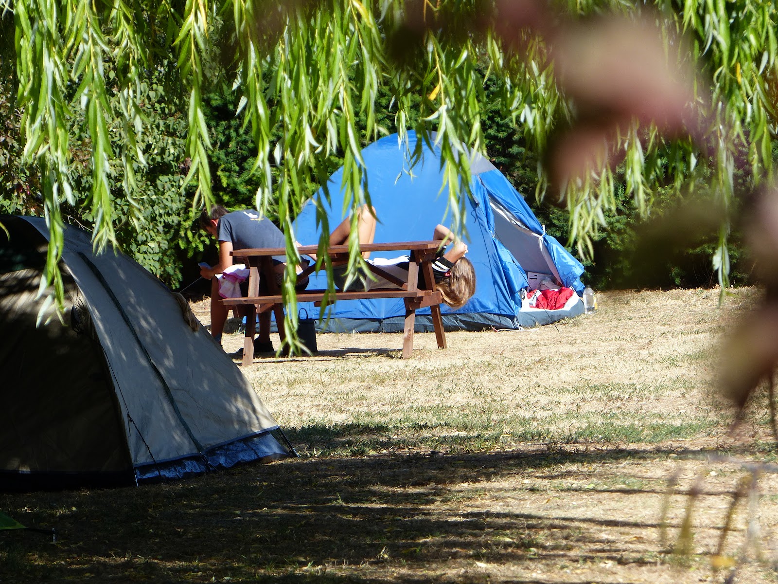 Hampshire Holiday Parks - Wanaka 3