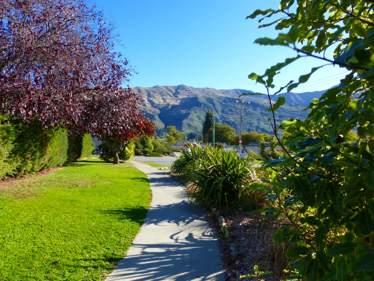 Hampshire Holiday Parks - Wanaka 9