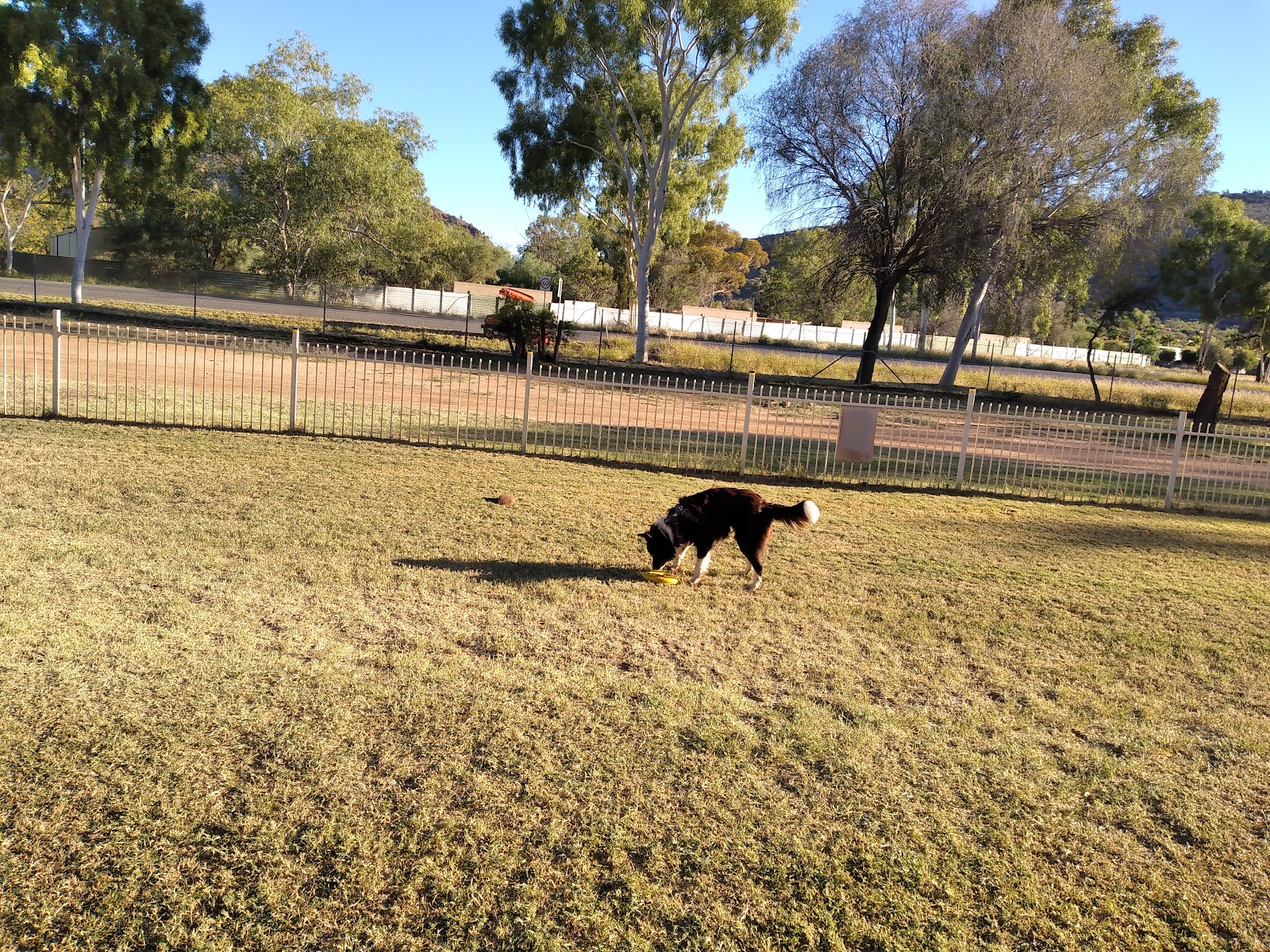 Heritage Caravan Park - Pet Friendly 8