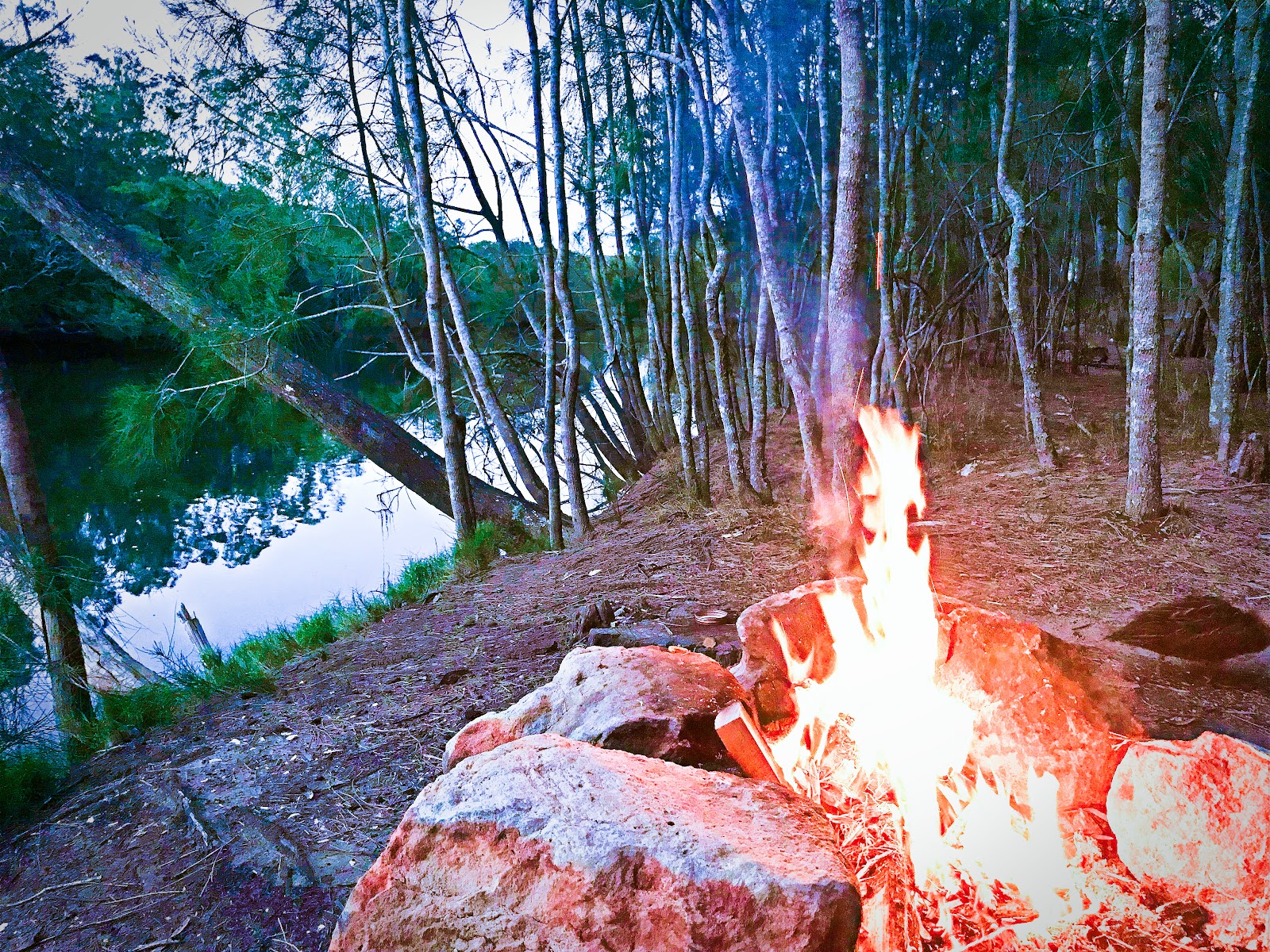 Hidden Creek Campsite 5
