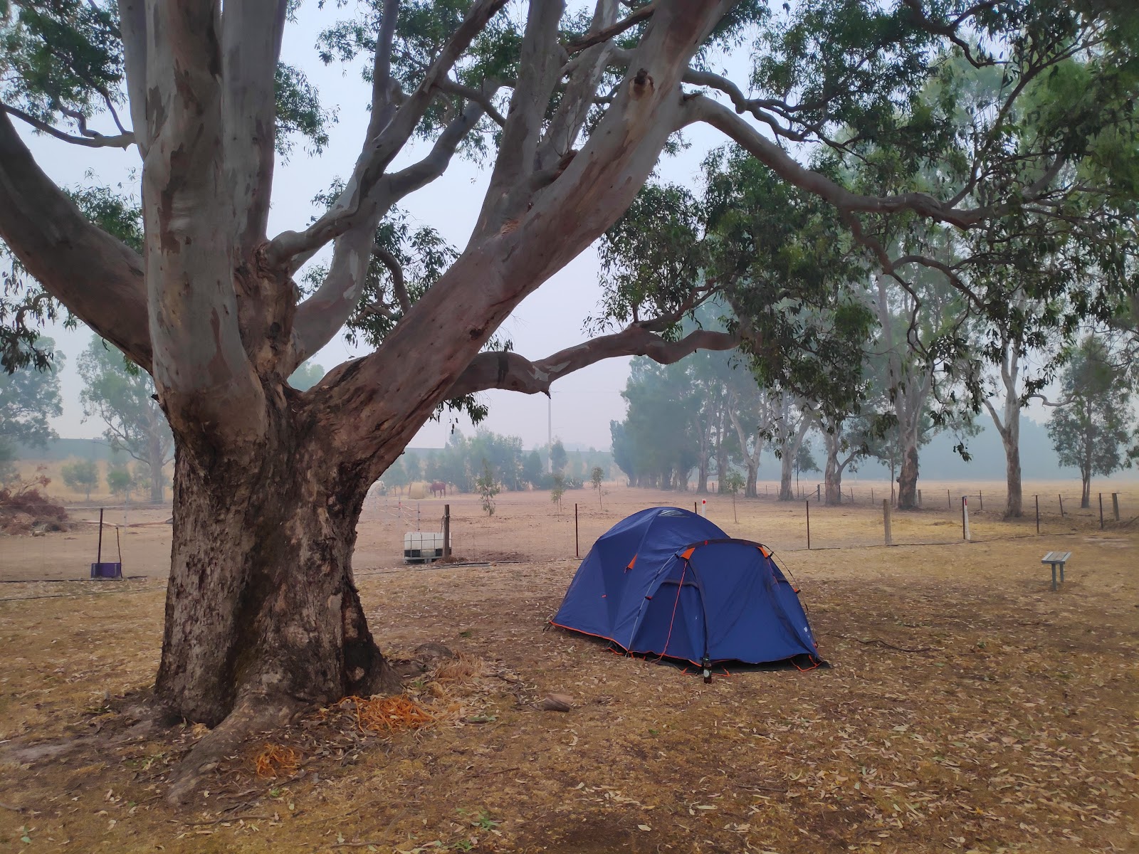 Holbrook ANZAC Park 6