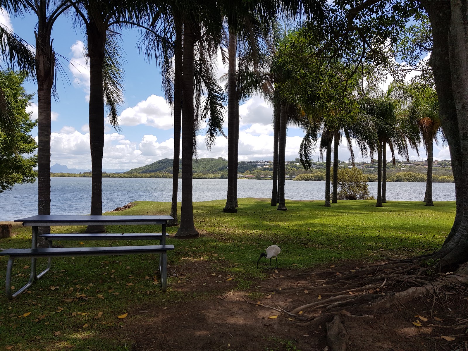 Homestead Holiday Park 9