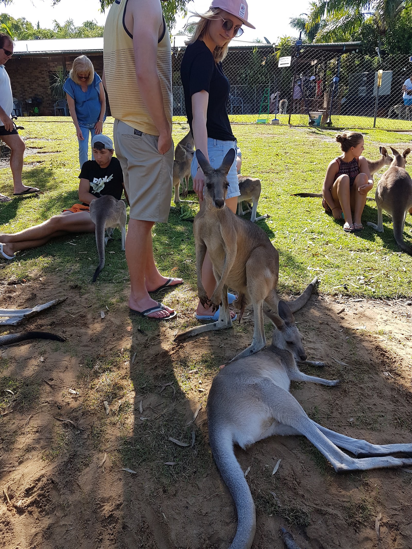 Horizons Kangaroo Sanctuary - Camp Ground 4