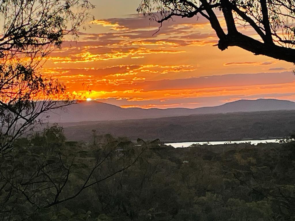 Horizons Kangaroo Sanctuary - Camp Ground 7