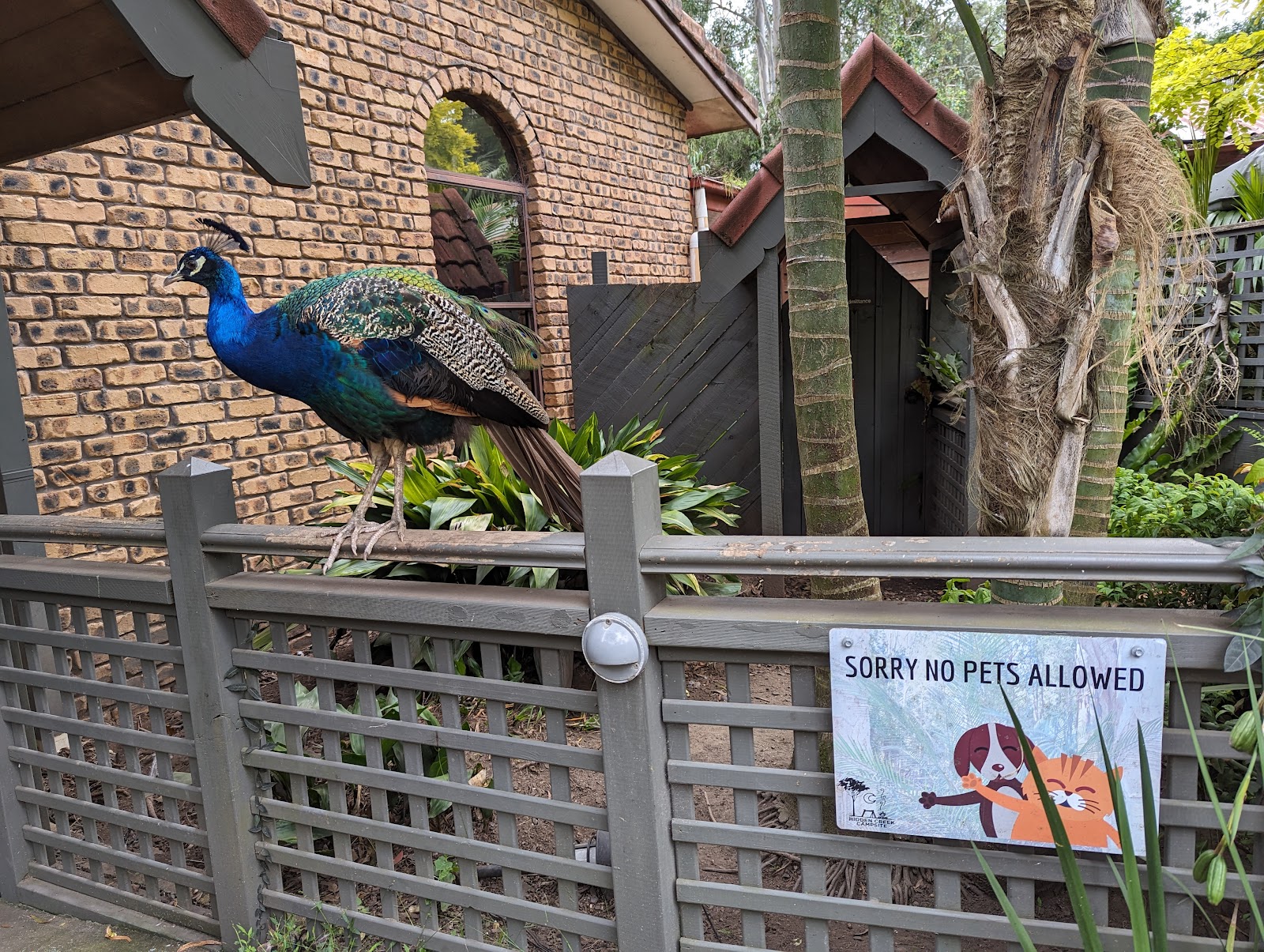 Jervis Bay Cabins & Camping 8