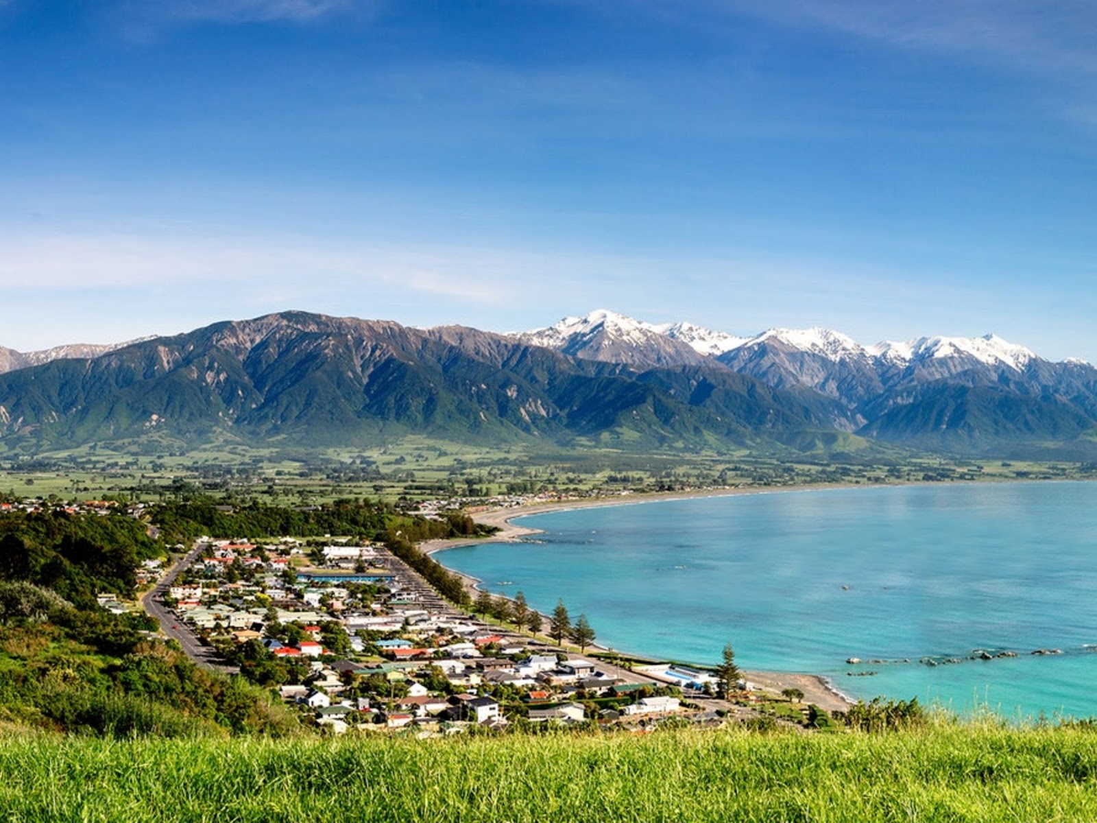 Kaikoura TOP 10 Holiday Park 8