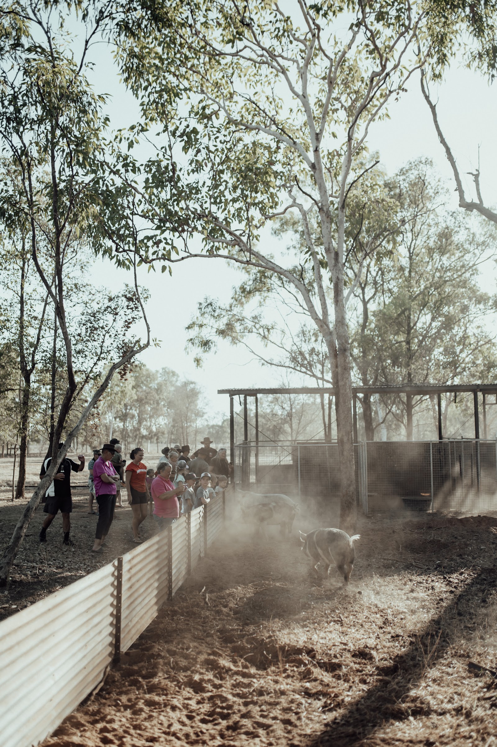 Katherine Farmstay 3