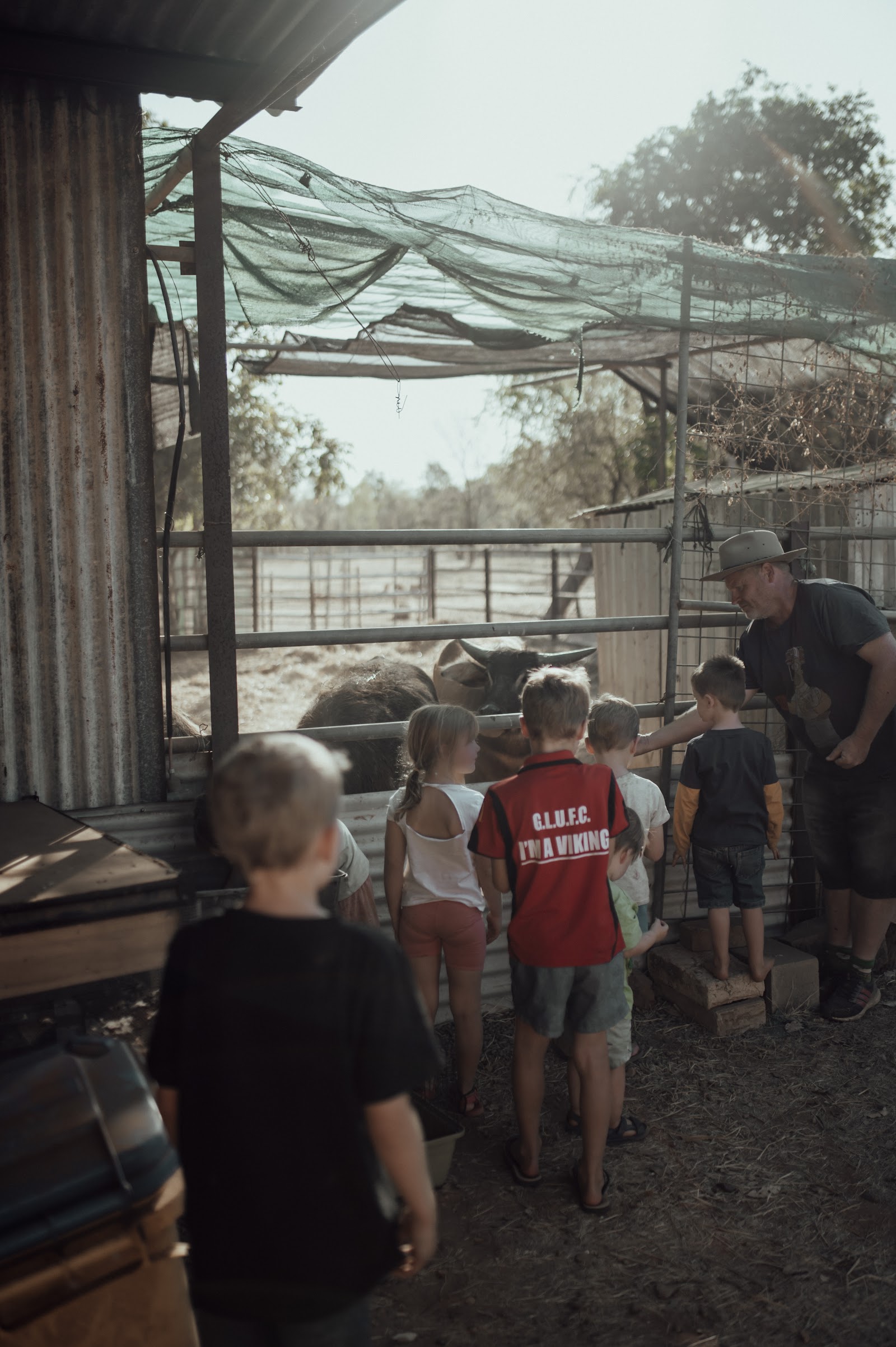 Katherine Farmstay 6
