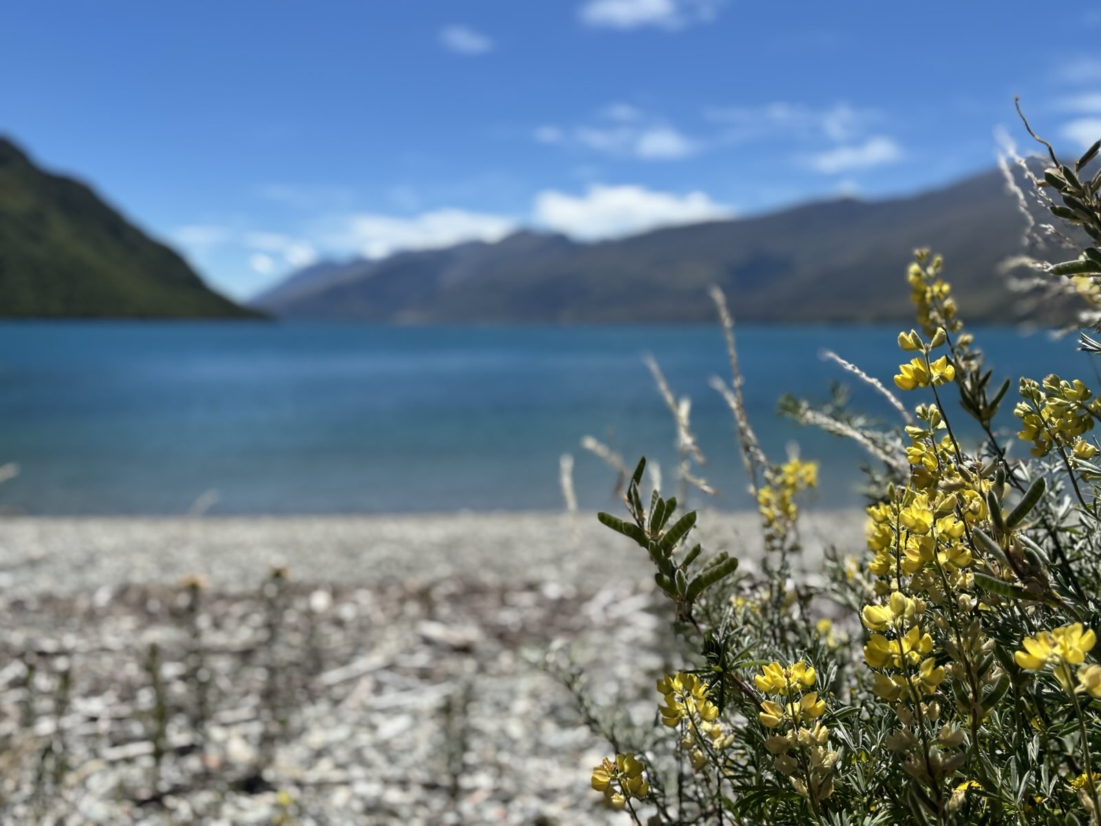 Kingston Lakeside Reserve 8