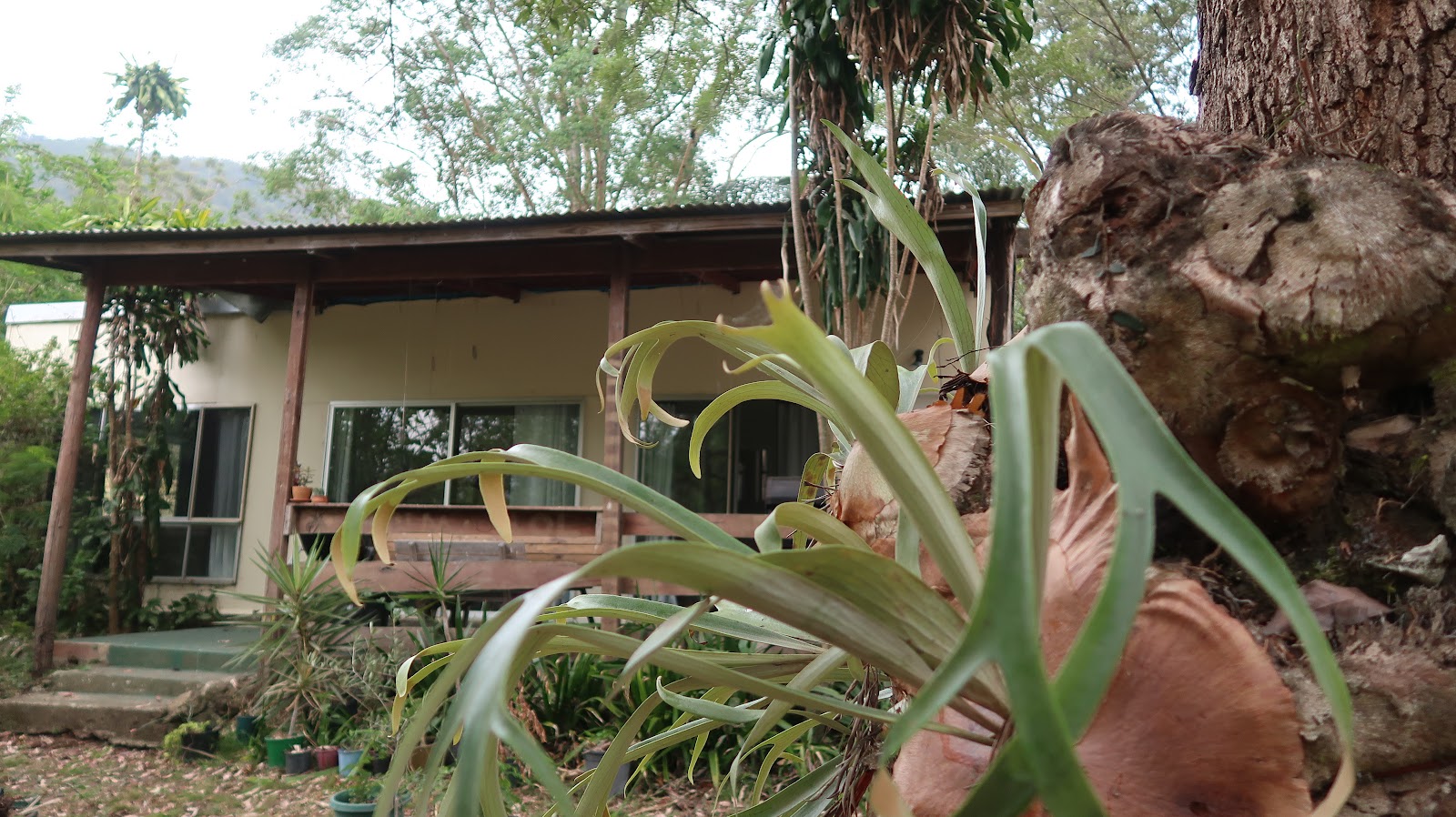 Kookaburra Park 9