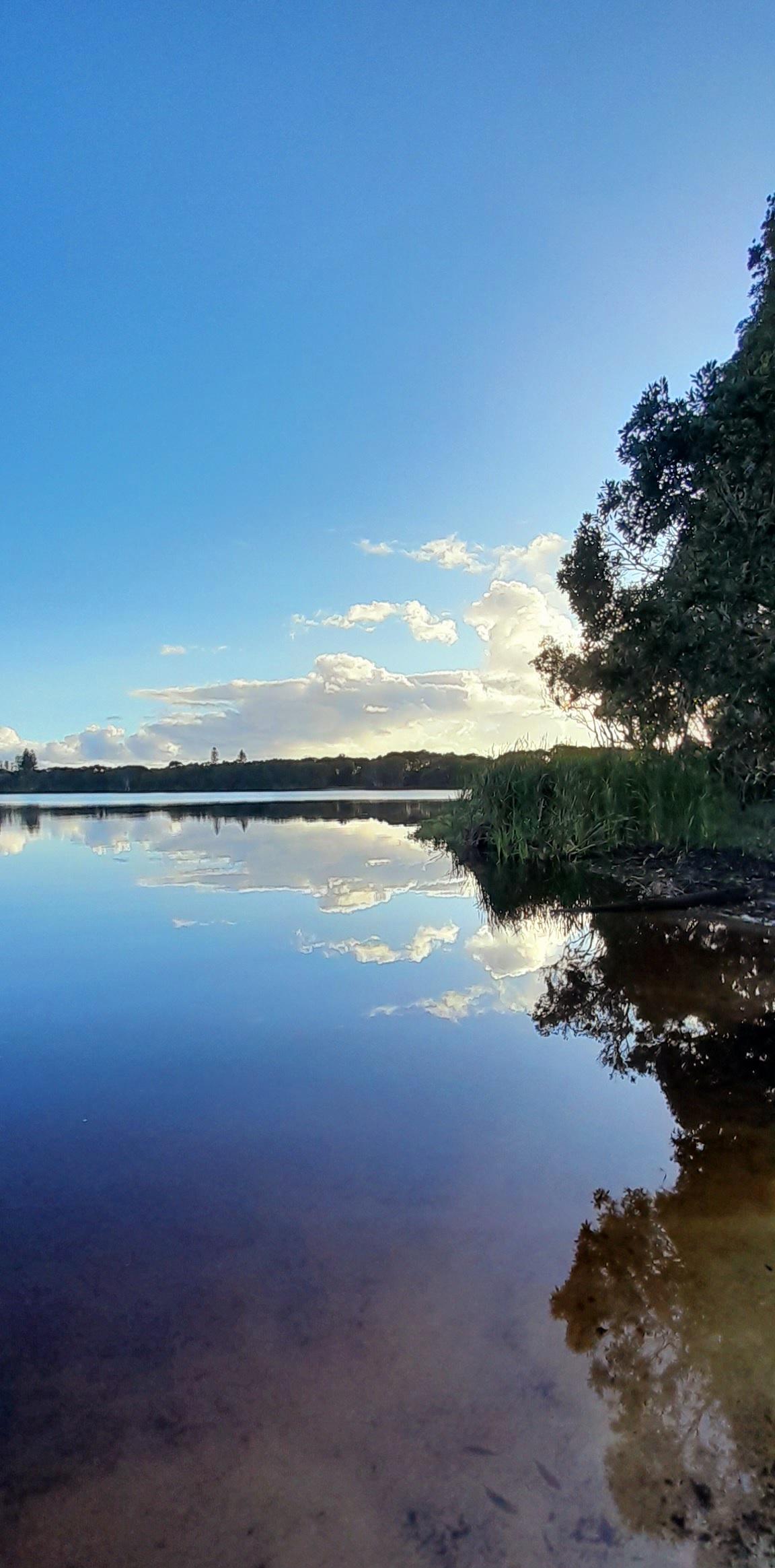 Lake Ainsworth 3