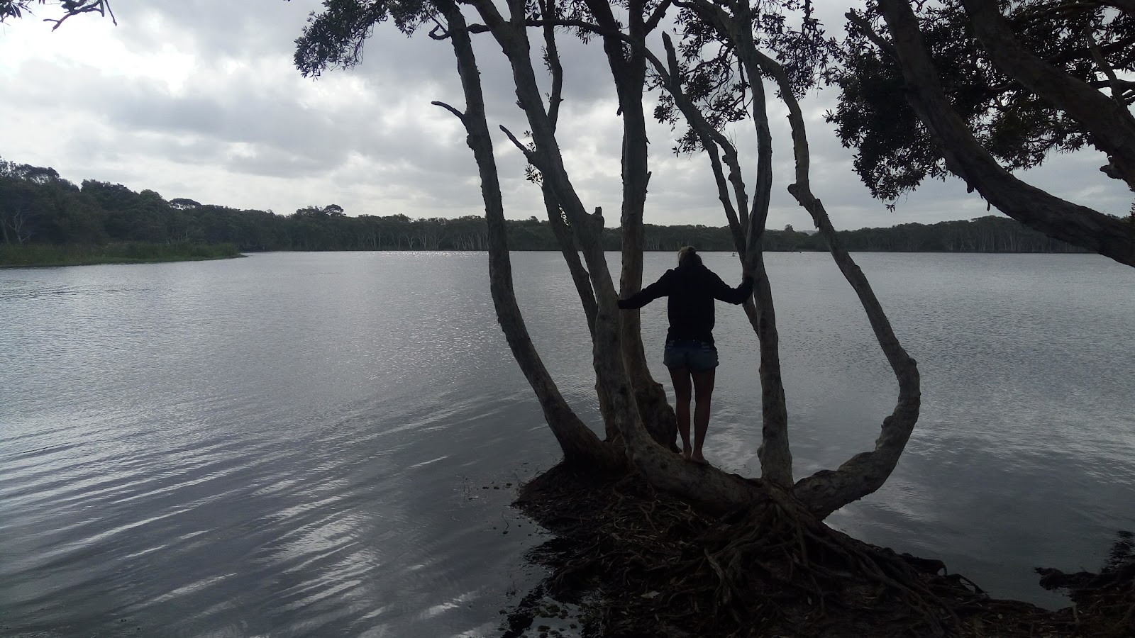 Lake Ainsworth 5