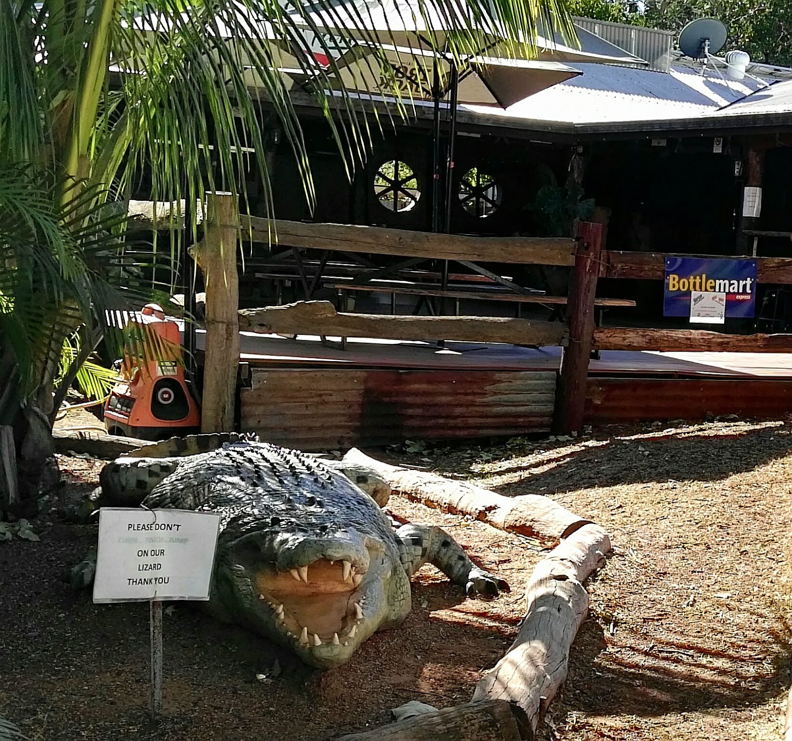 Lazy Lizard Tavern & Caravan Park 5
