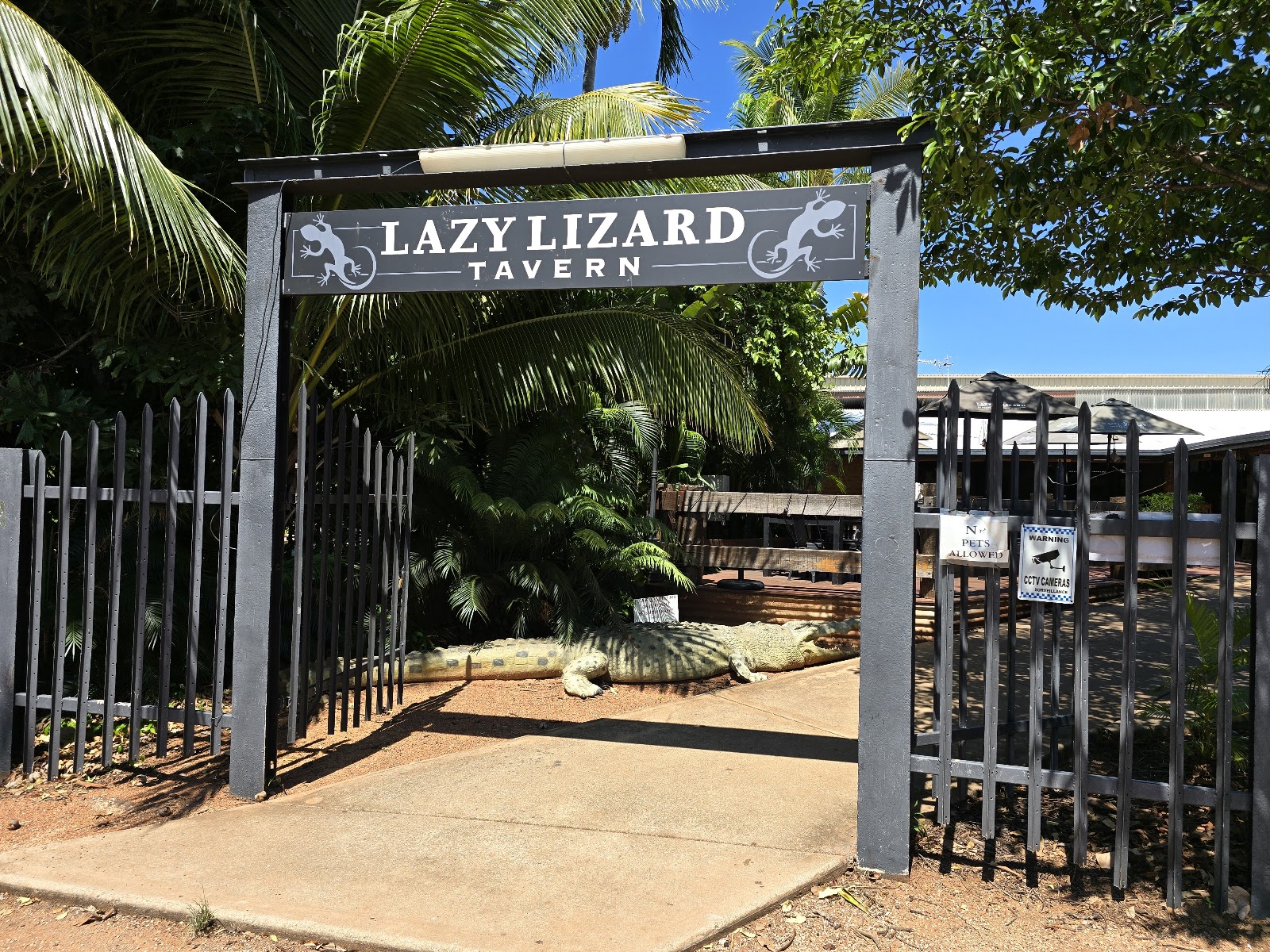 Lazy Lizard Tavern & Caravan Park 7